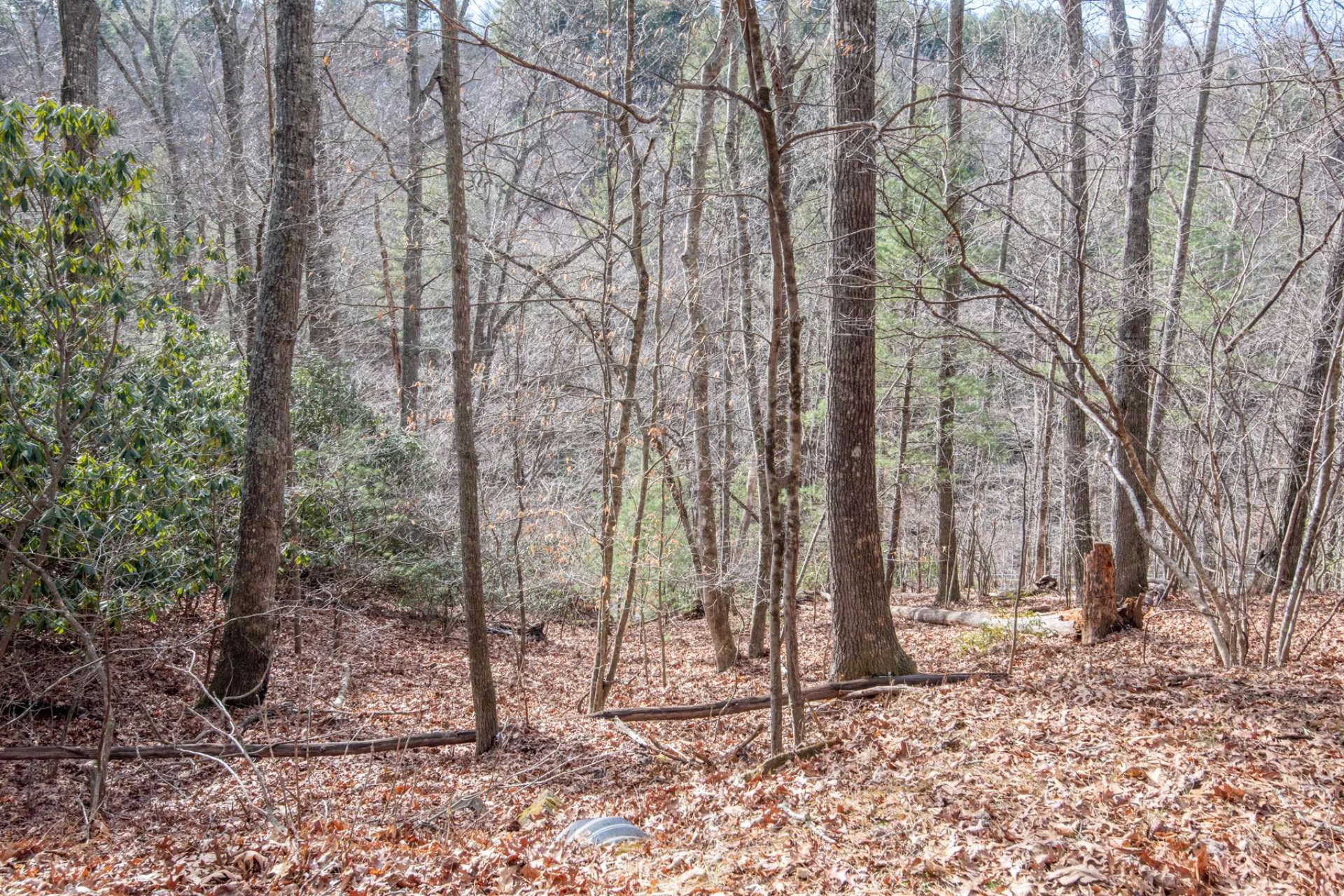 Image number 14 for the current listing