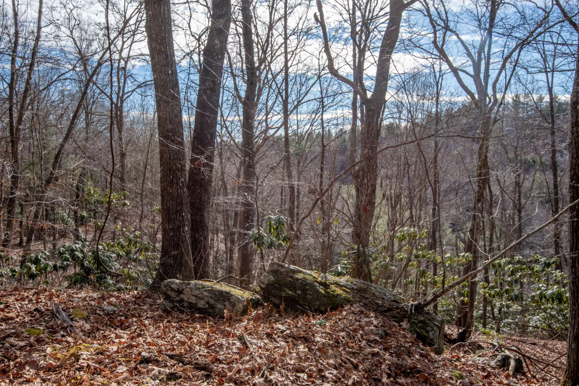 Image number 2 for the current listing