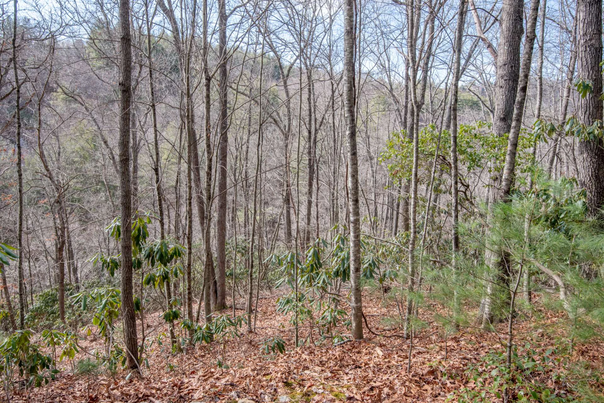 Image number 10 for the current listing