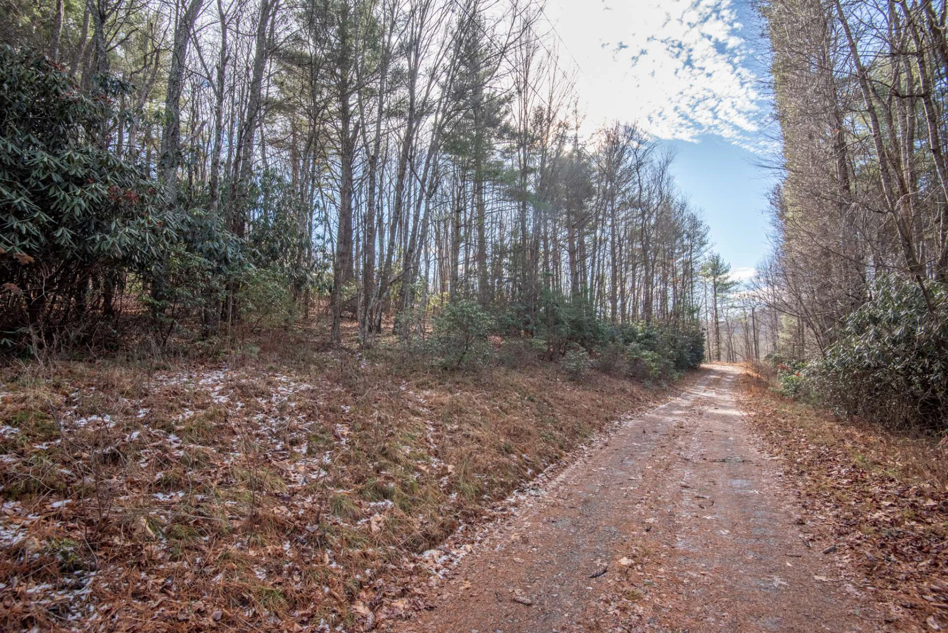 Image number 6 for the current listing