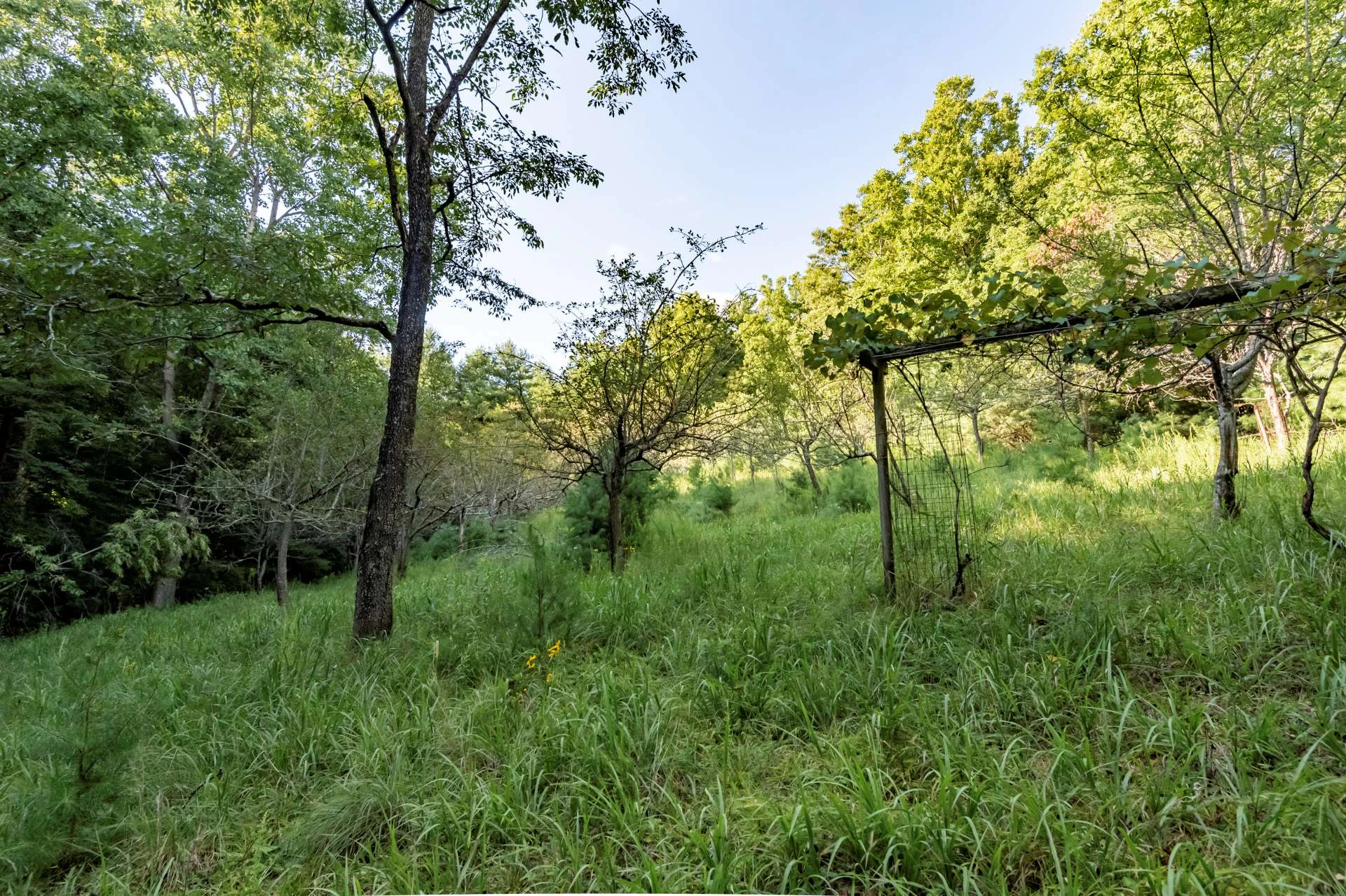Image number 20 for the current listing