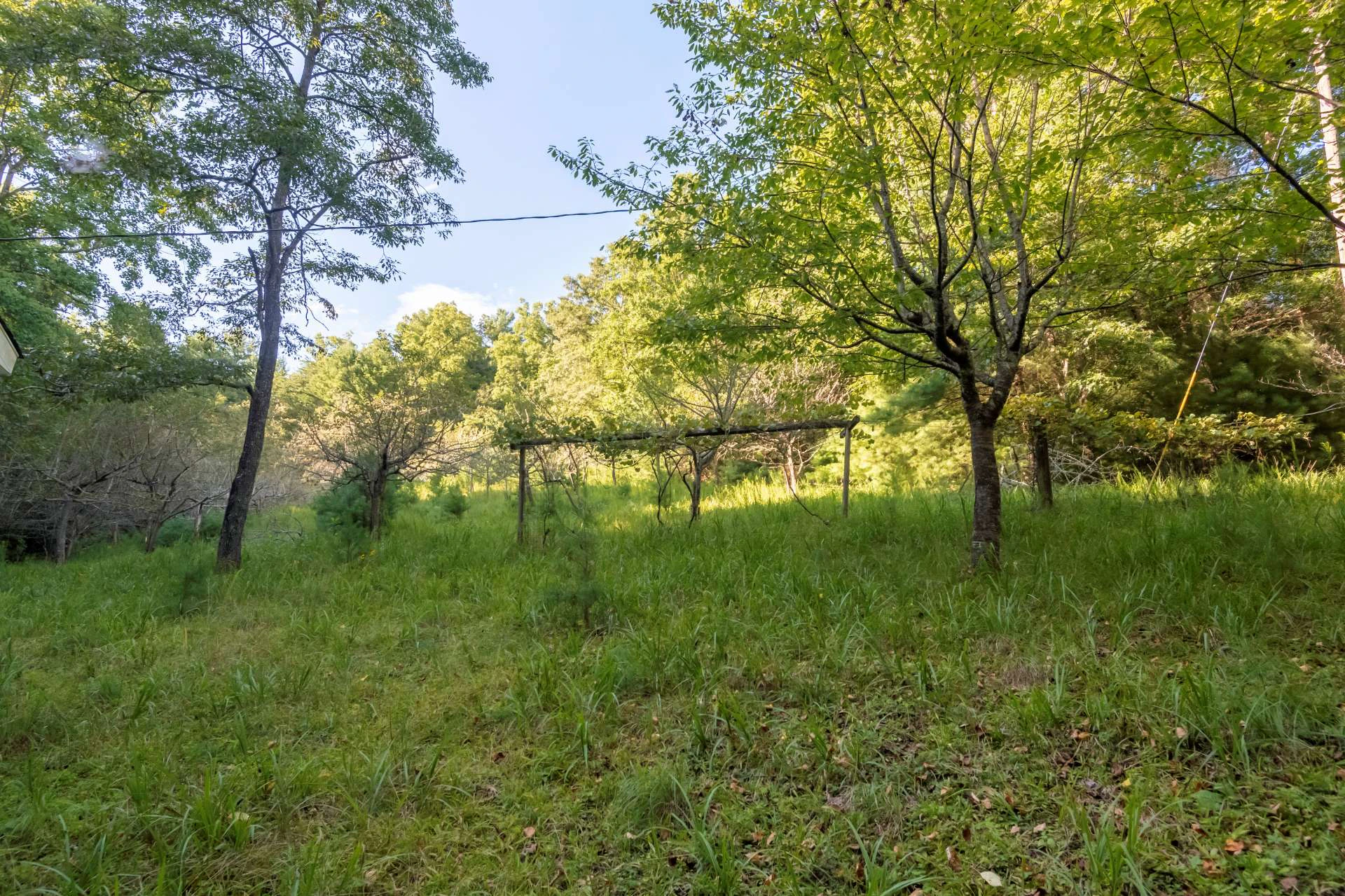Image number 19 for the current listing