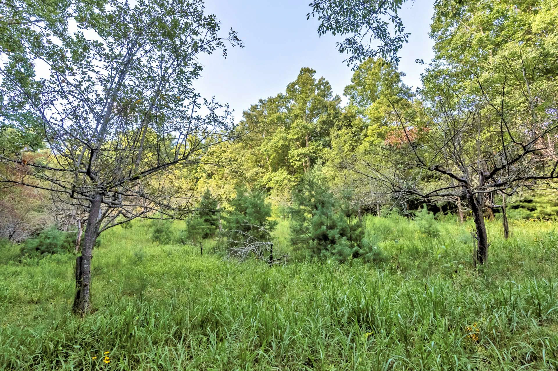 Image number 17 for the current listing