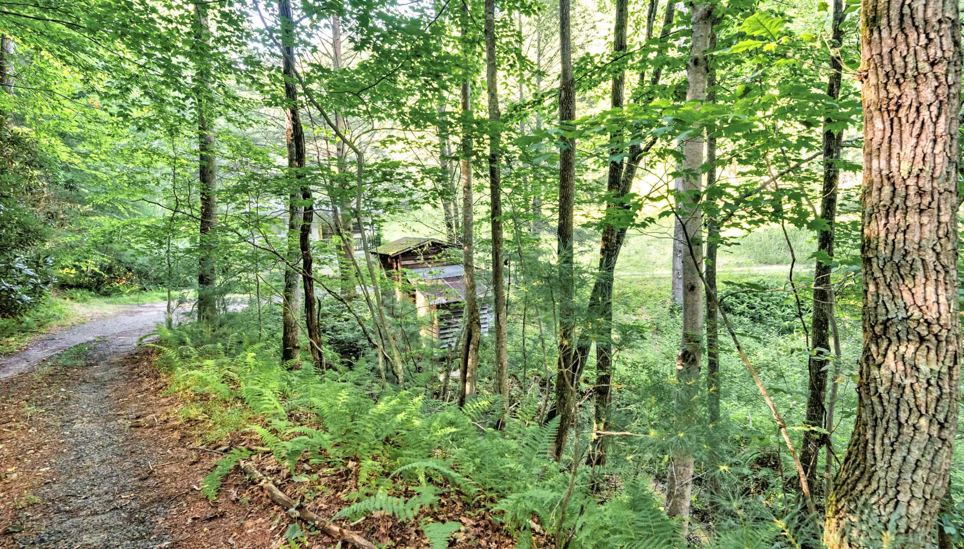 Image number 16 for the current listing