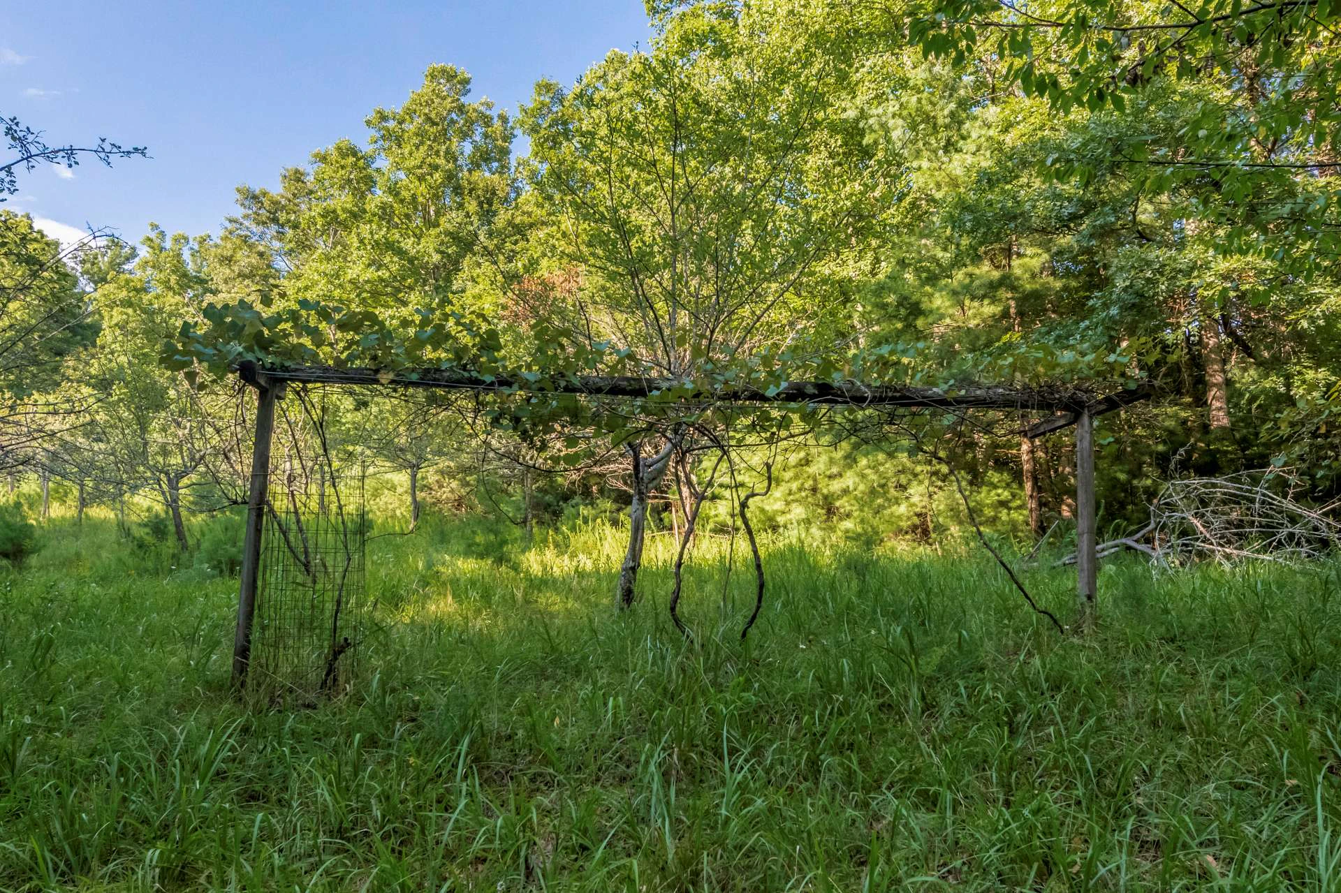 Image number 15 for the current listing