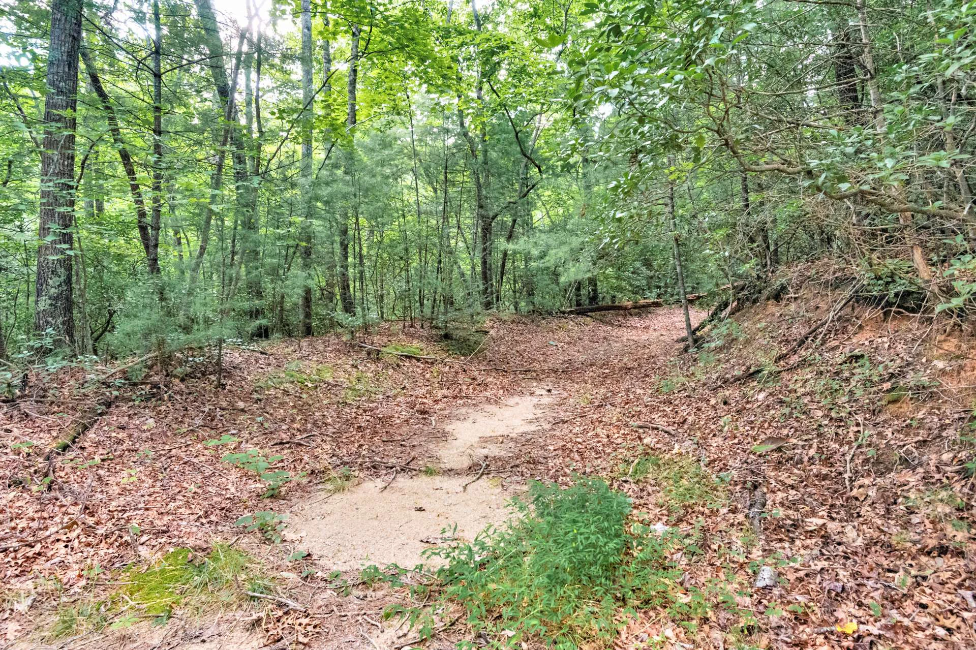 Image number 14 for the current listing