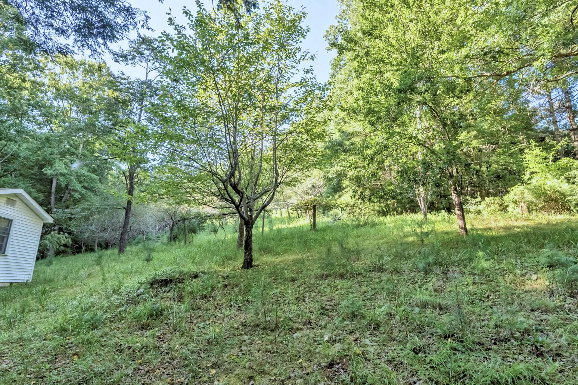 Image number 11 for the current listing