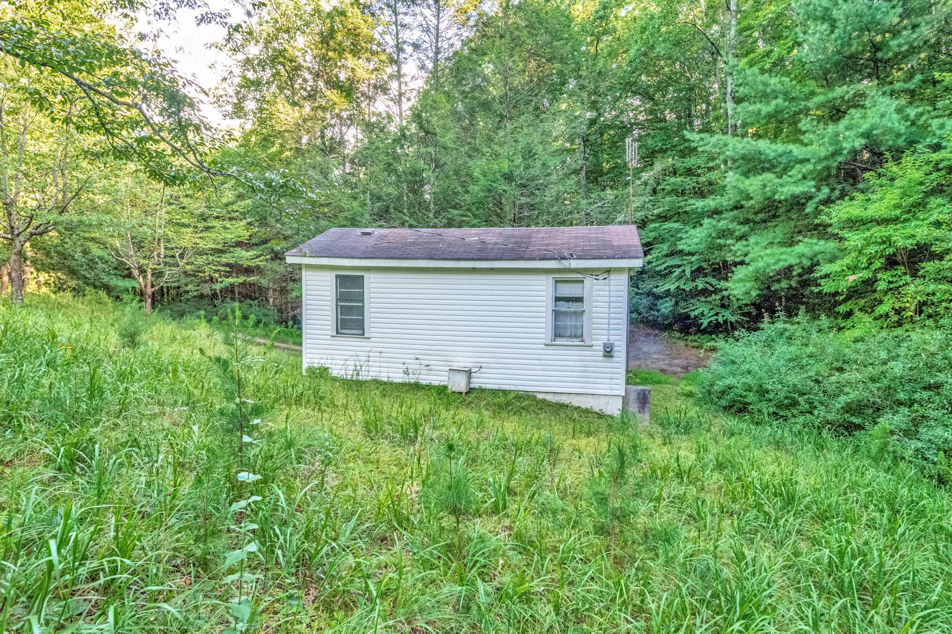 Image number 9 for the current listing