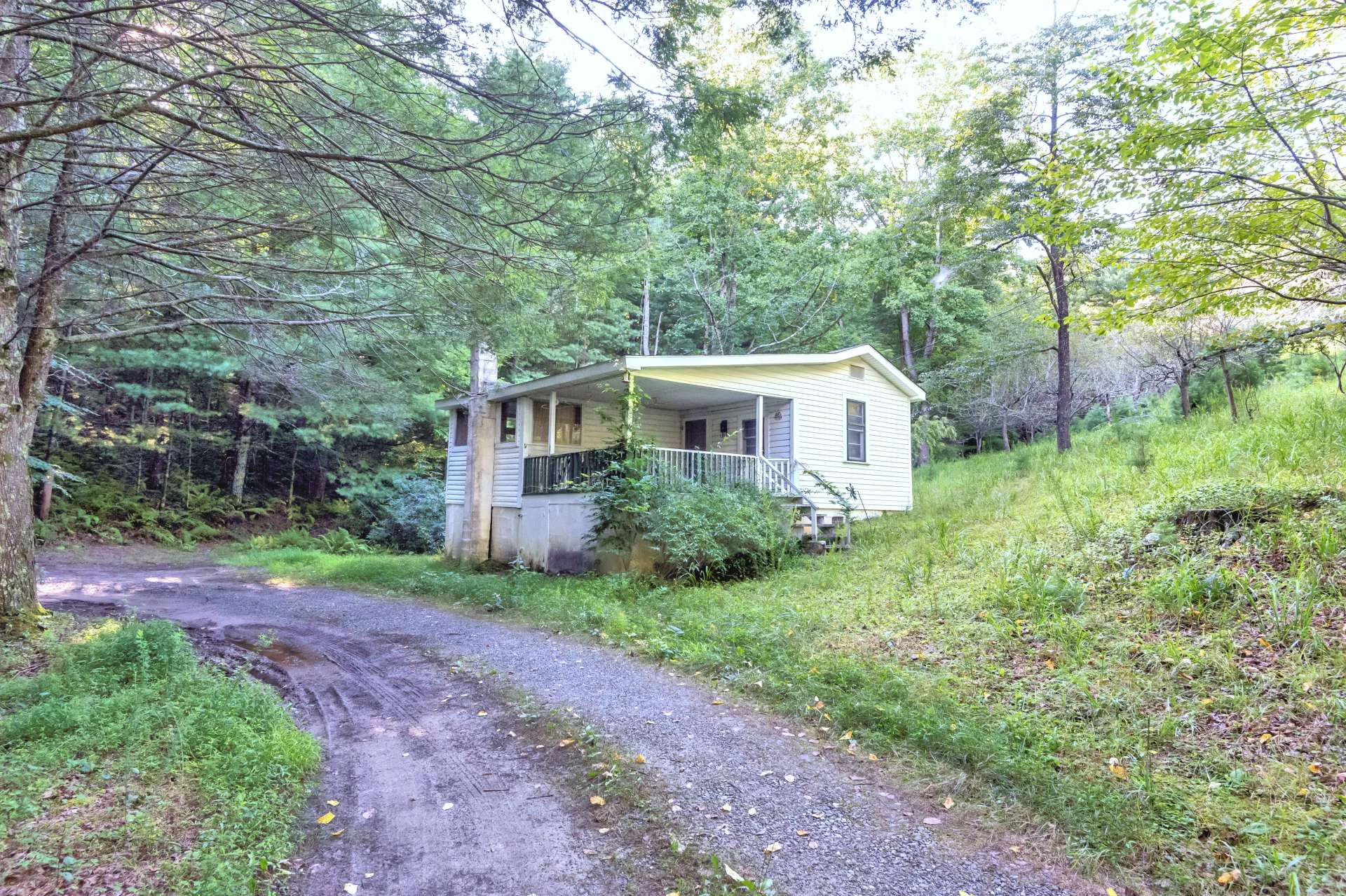 Image number 7 for the current listing