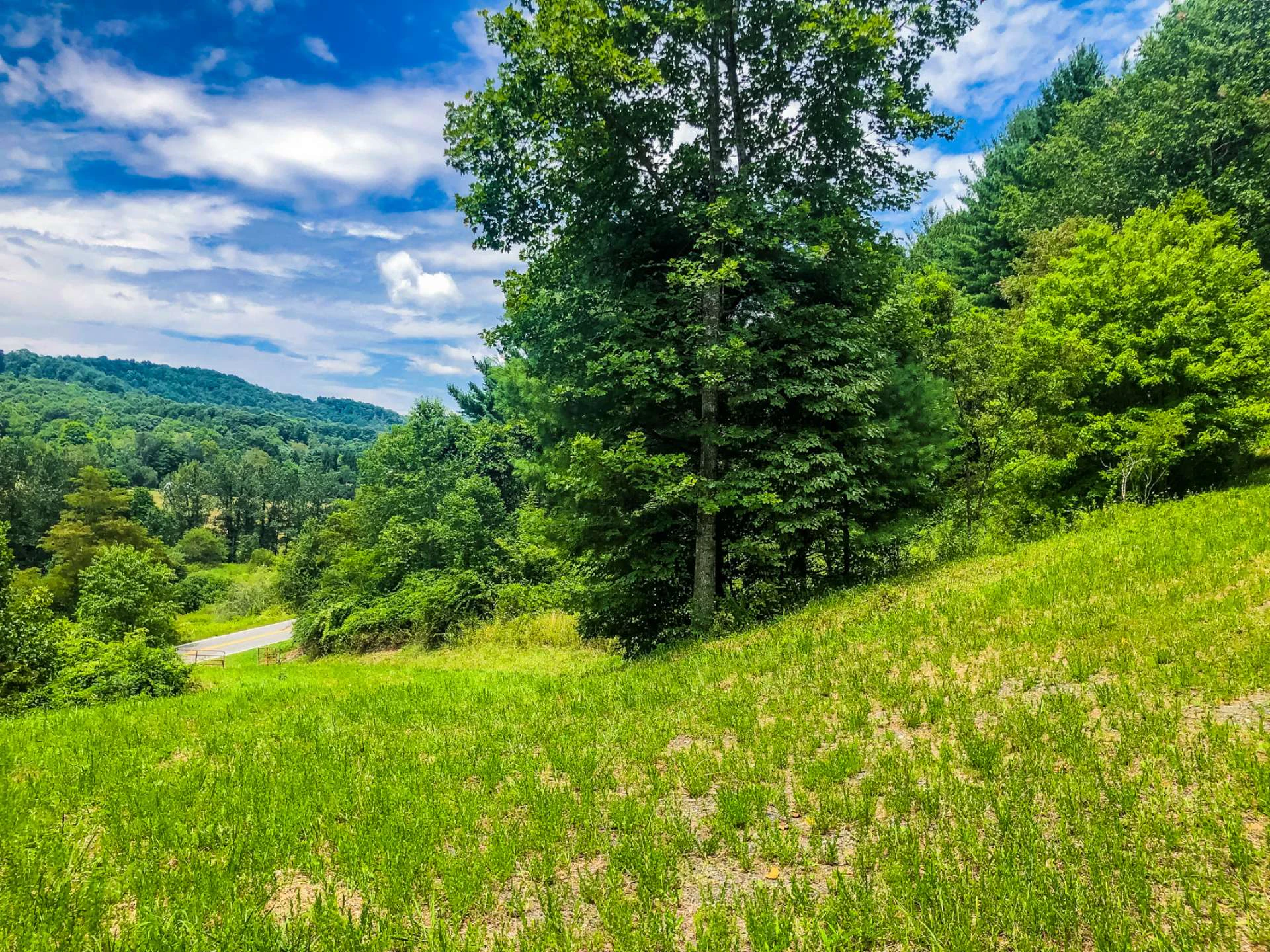 Image number 2 for the current listing