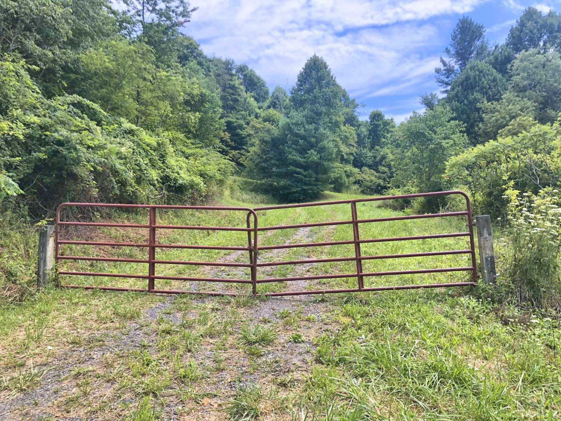 Image number 6 for the current listing