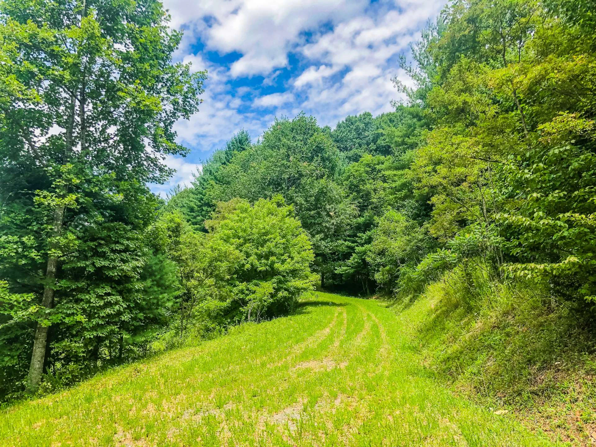 Image number 7 for the current listing