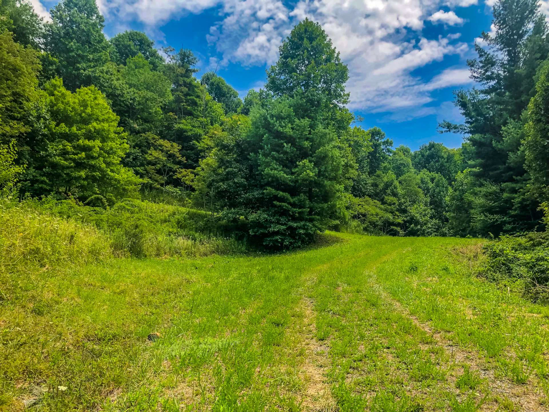 Image number 9 for the current listing