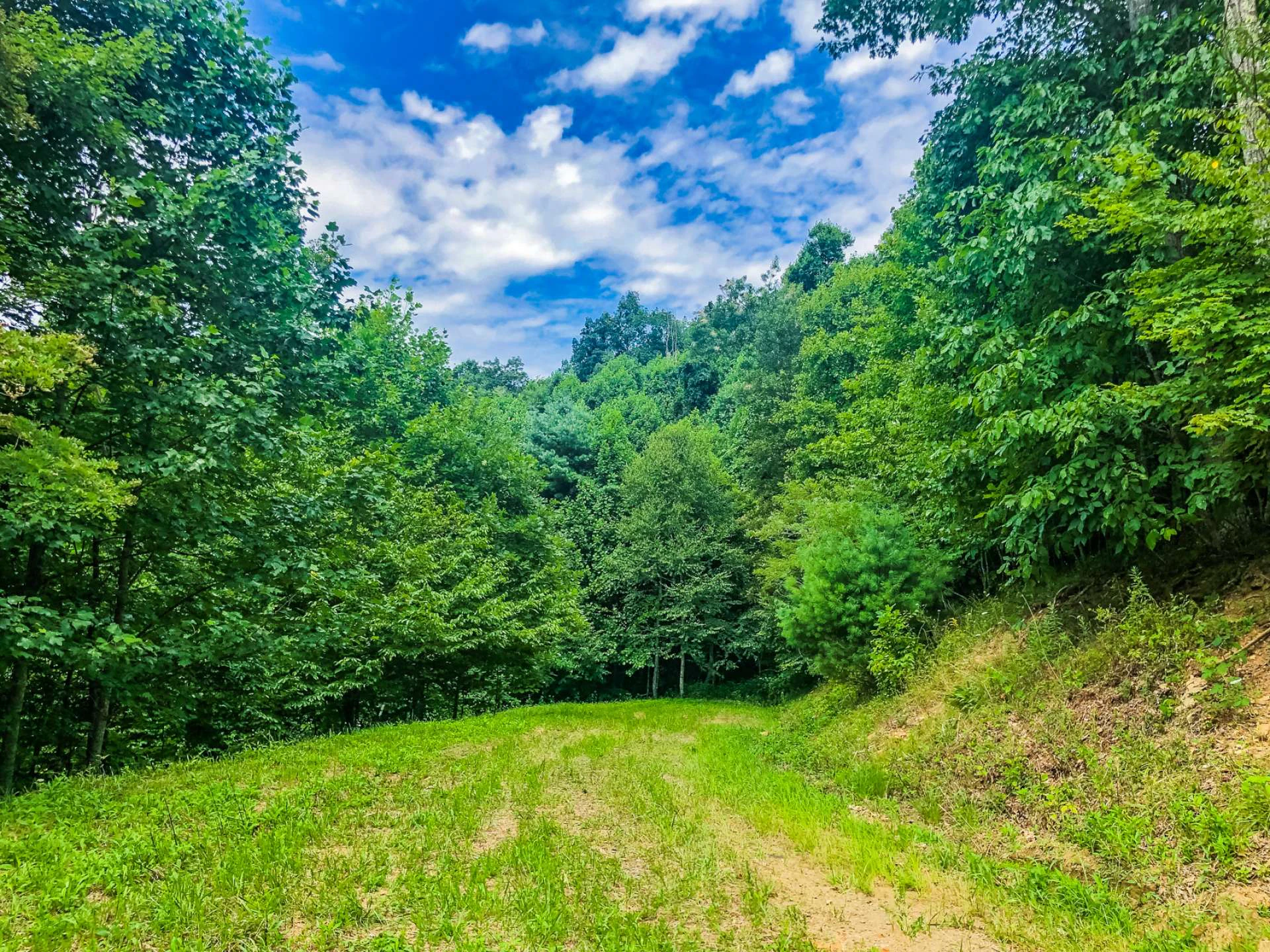 Image number 11 for the current listing