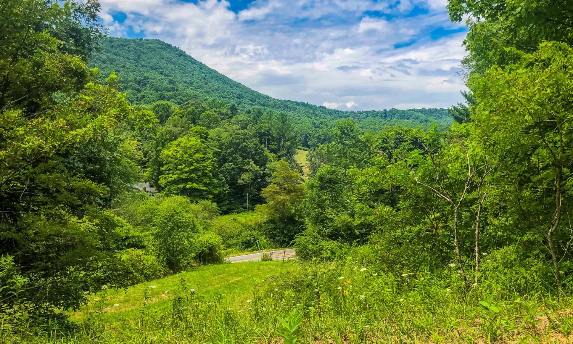 Image number 1 for the current listing