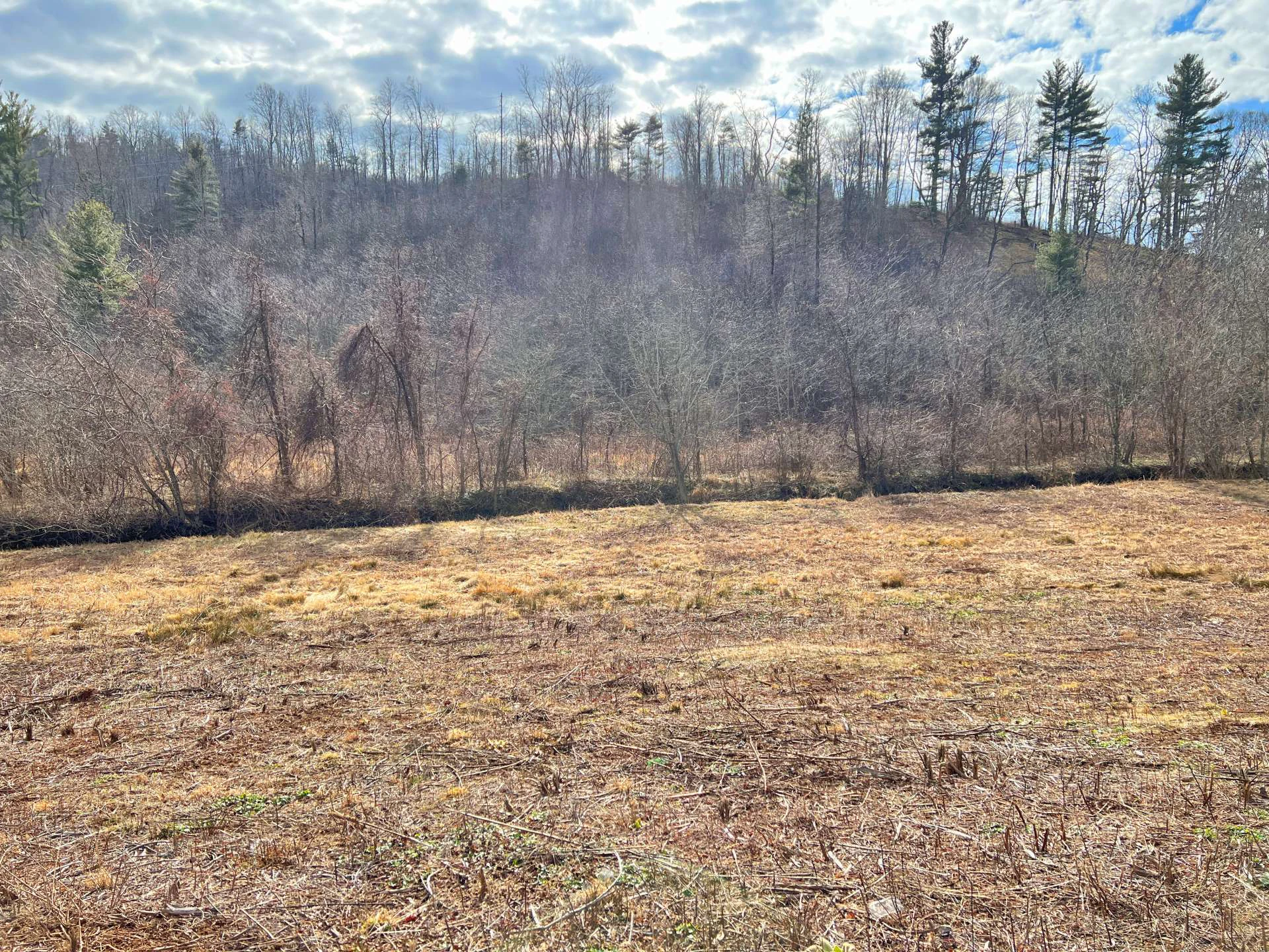 Image number 2 for the current listing
