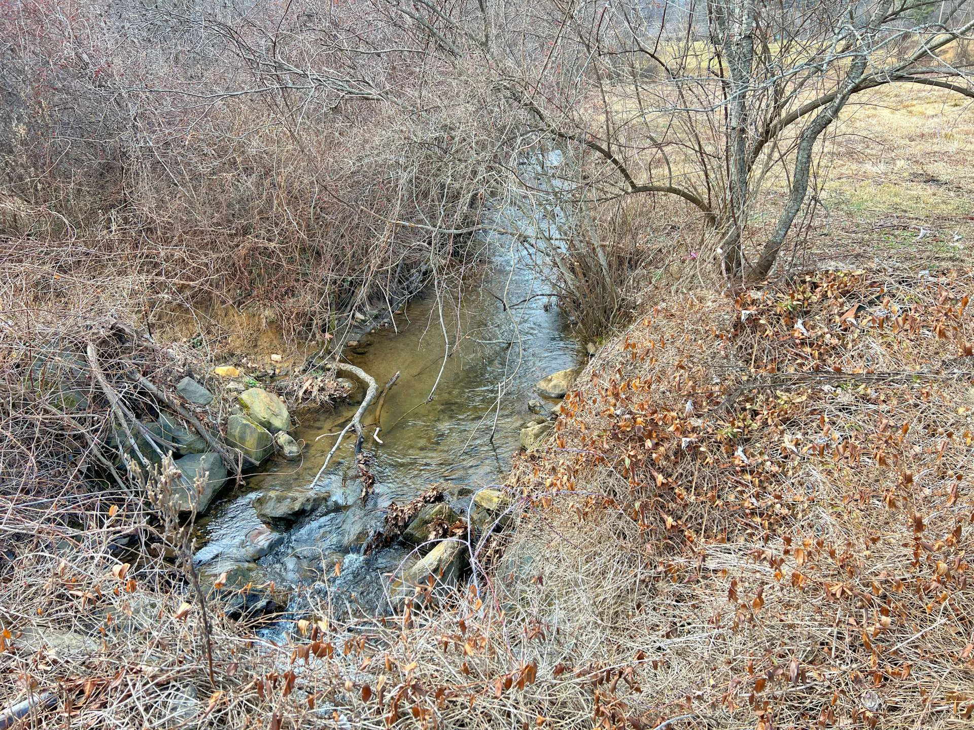 Image number 5 for the current listing