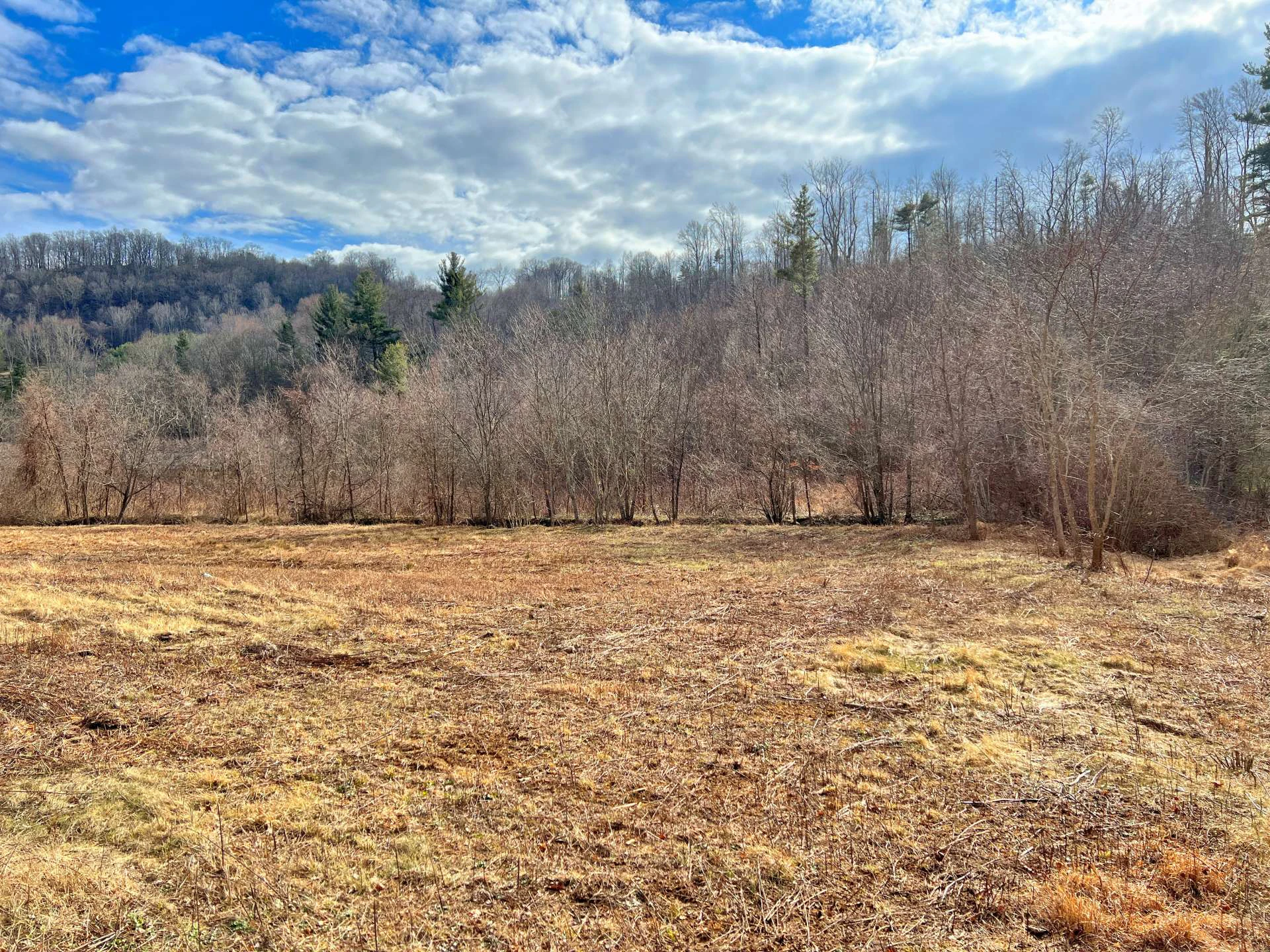 Image number 11 for the current listing