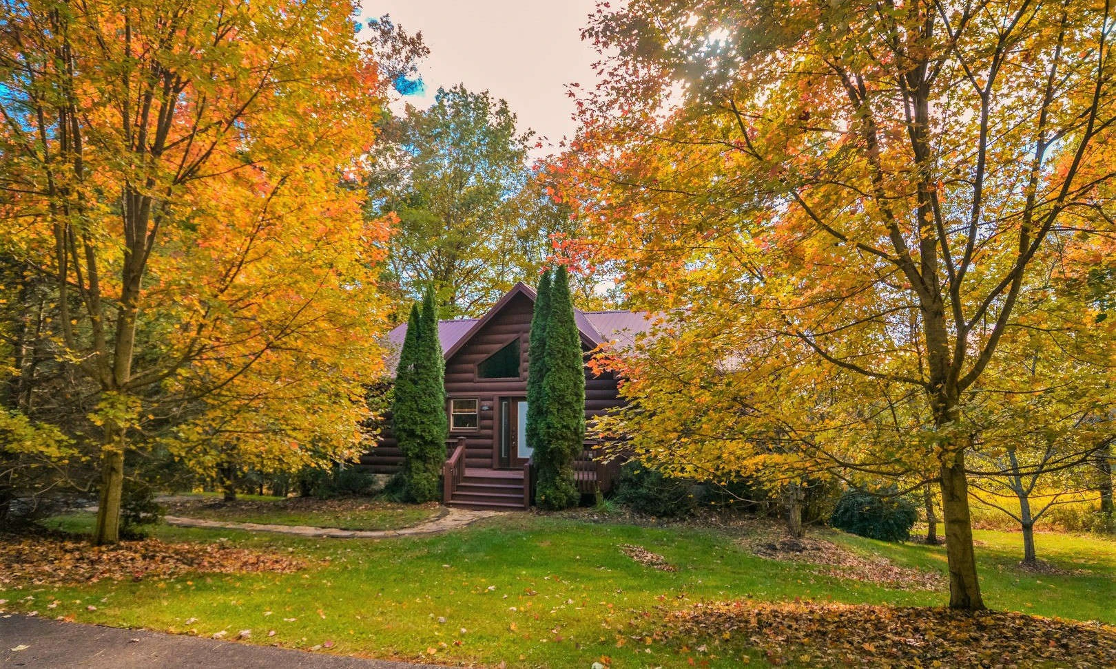 Image number 1 for the current listing