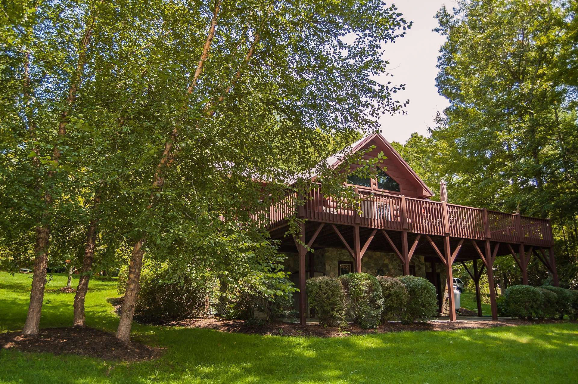 Image number 4 for the current listing