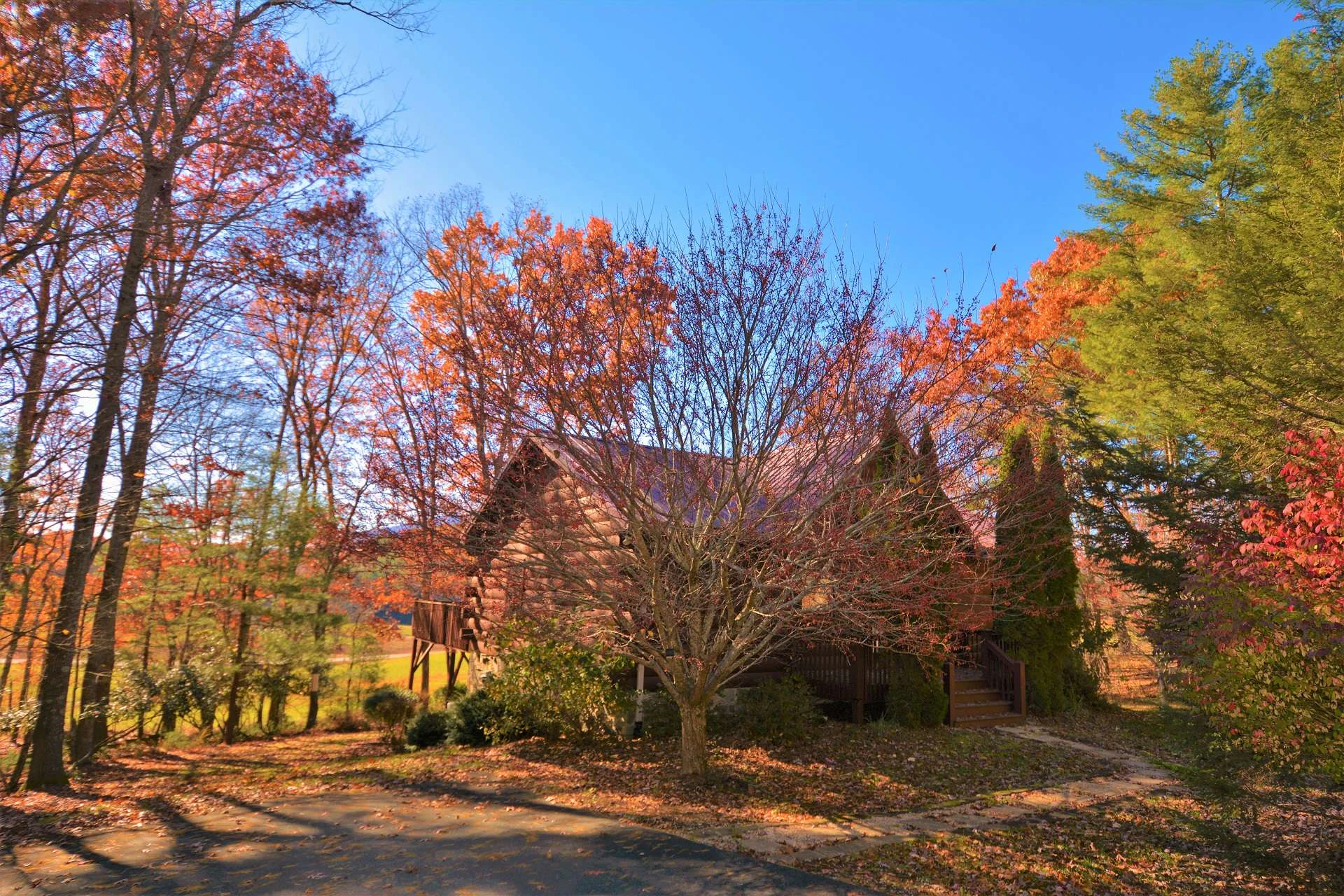 Image number 20 for the current listing
