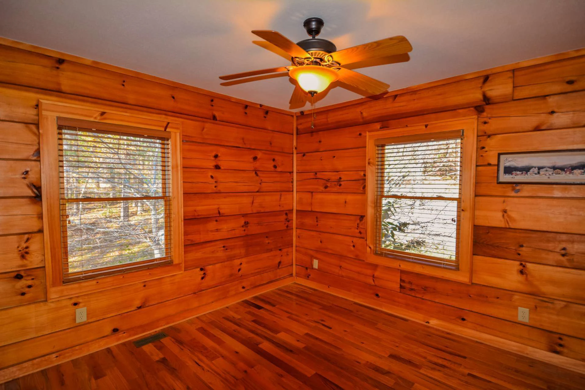 Image number 15 for the current listing