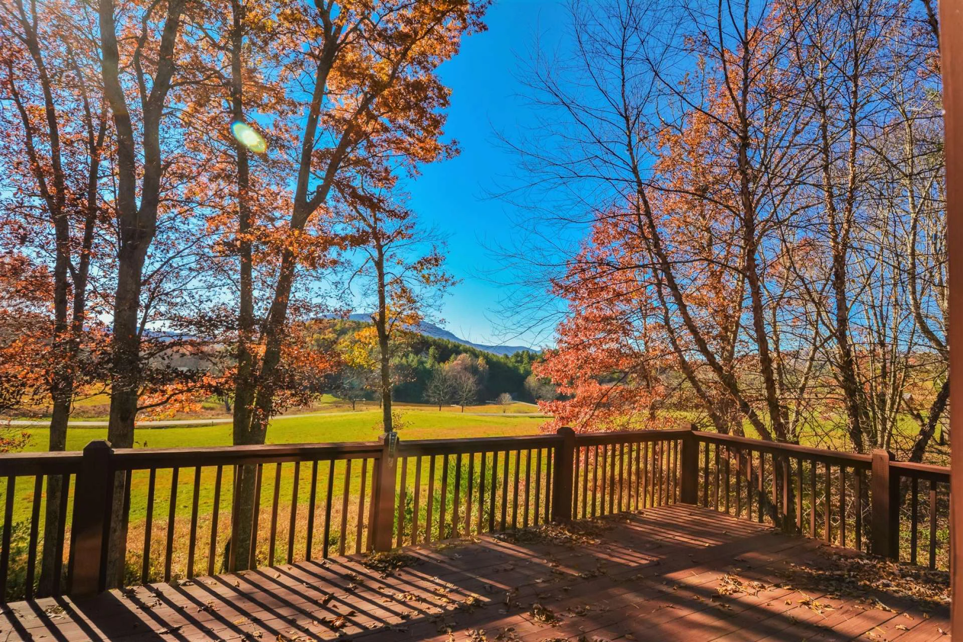 Image number 21 for the current listing