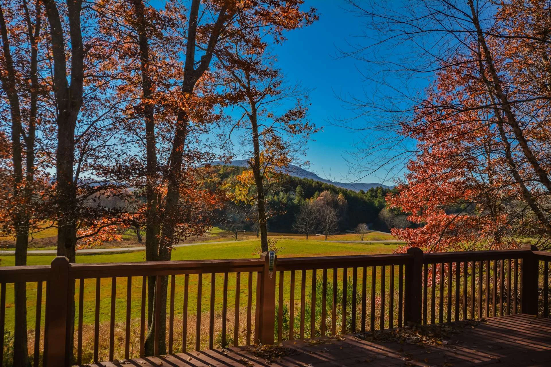 Image number 8 for the current listing
