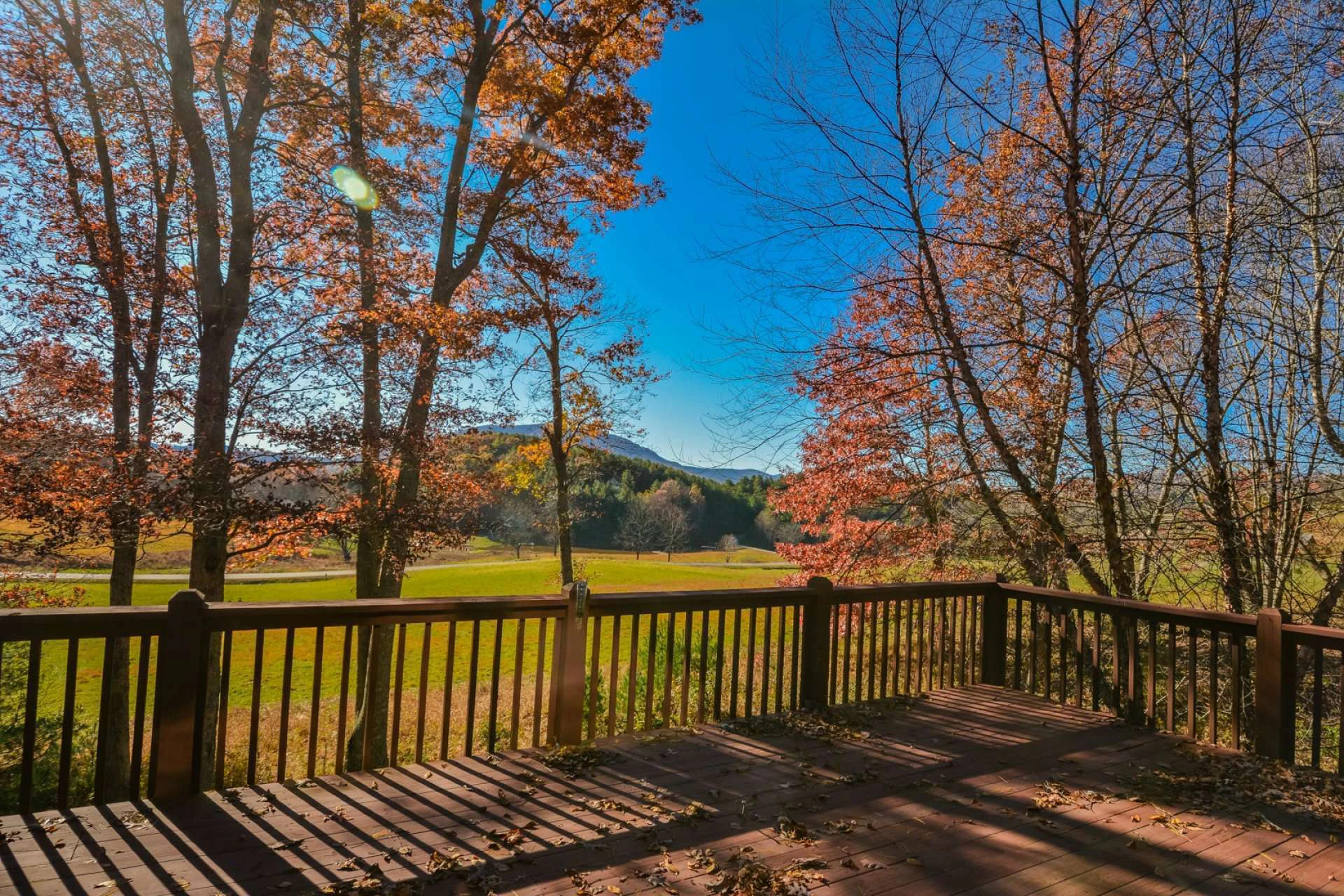 Image number 6 for the current listing