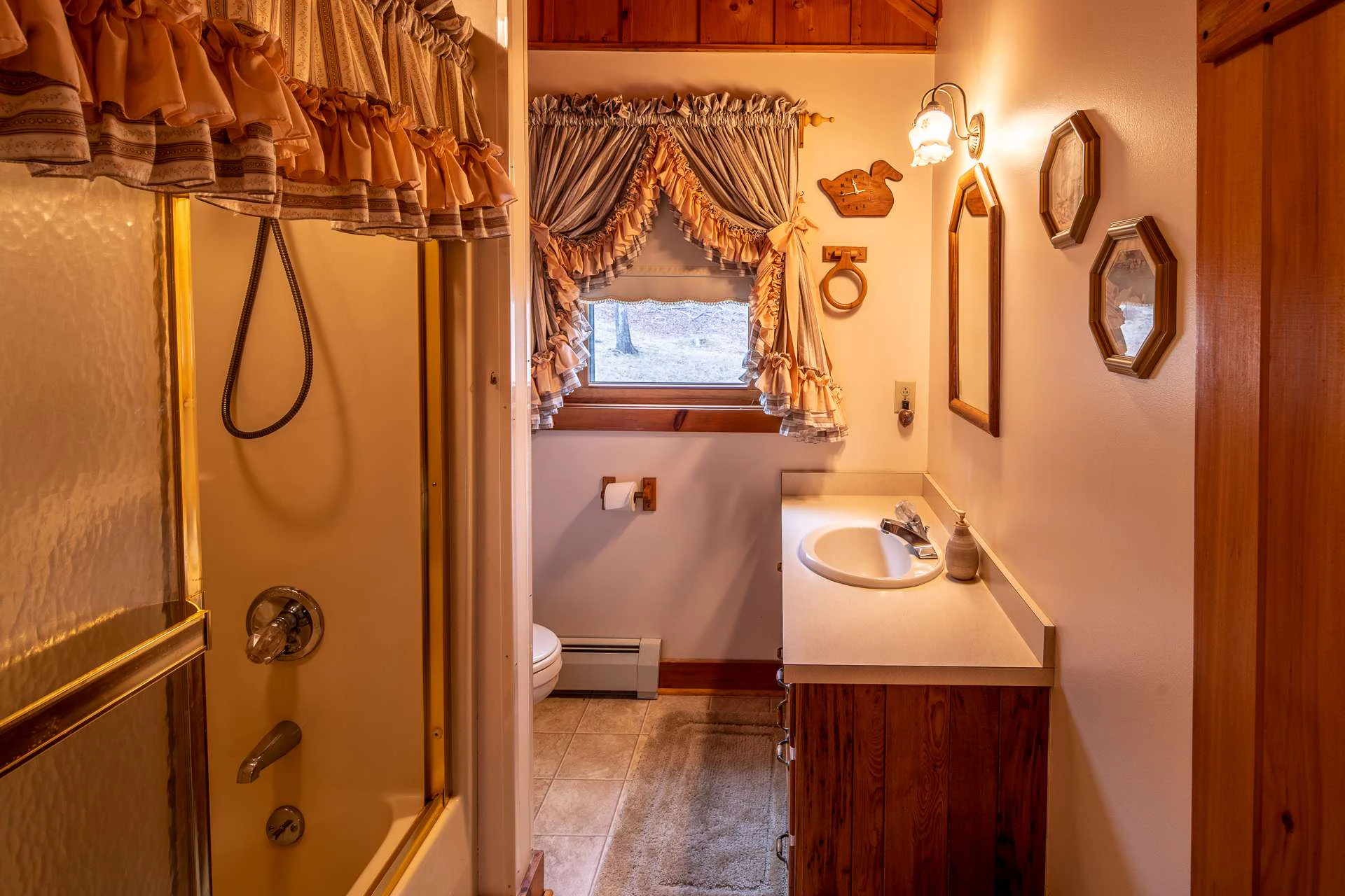 Image number 5 for the current listing