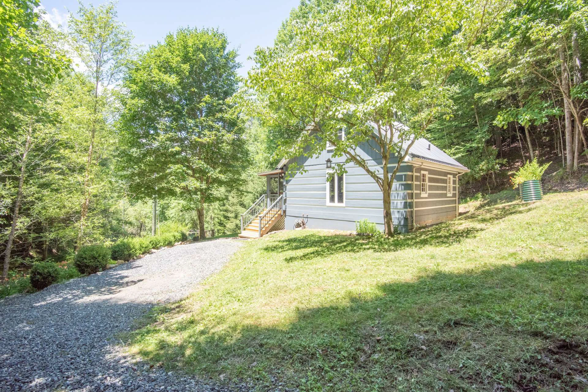 Image number 12 for the current listing