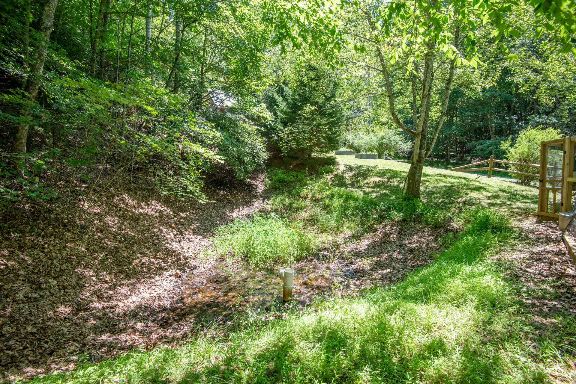 Image number 5 for the current listing