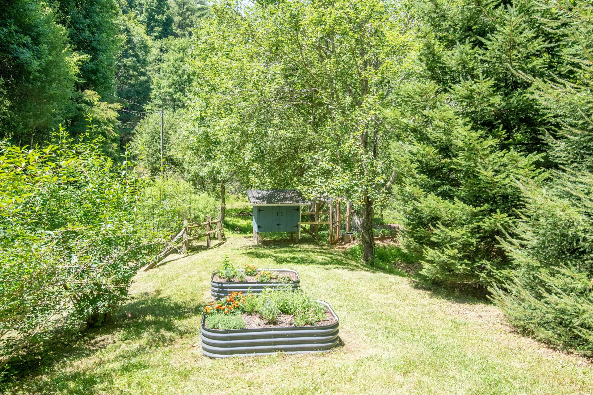 Image number 15 for the current listing