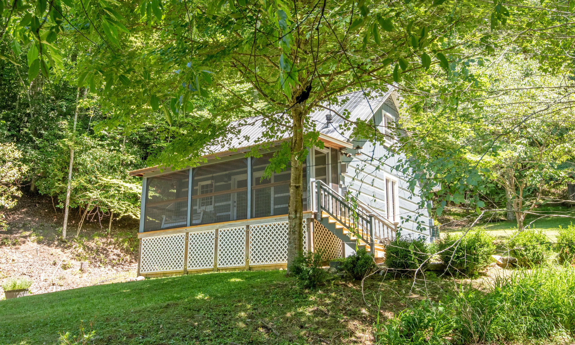 Image number 1 for the current listing