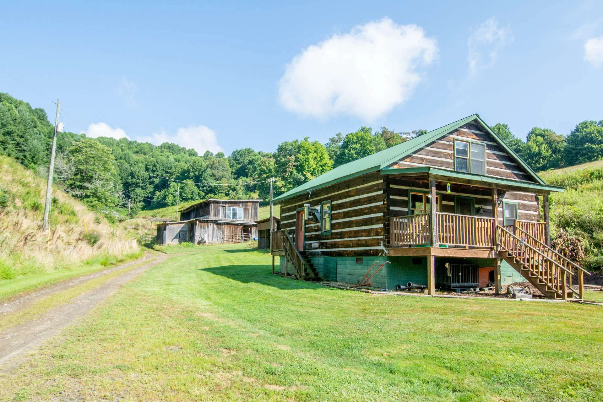 Image number 12 for the current listing