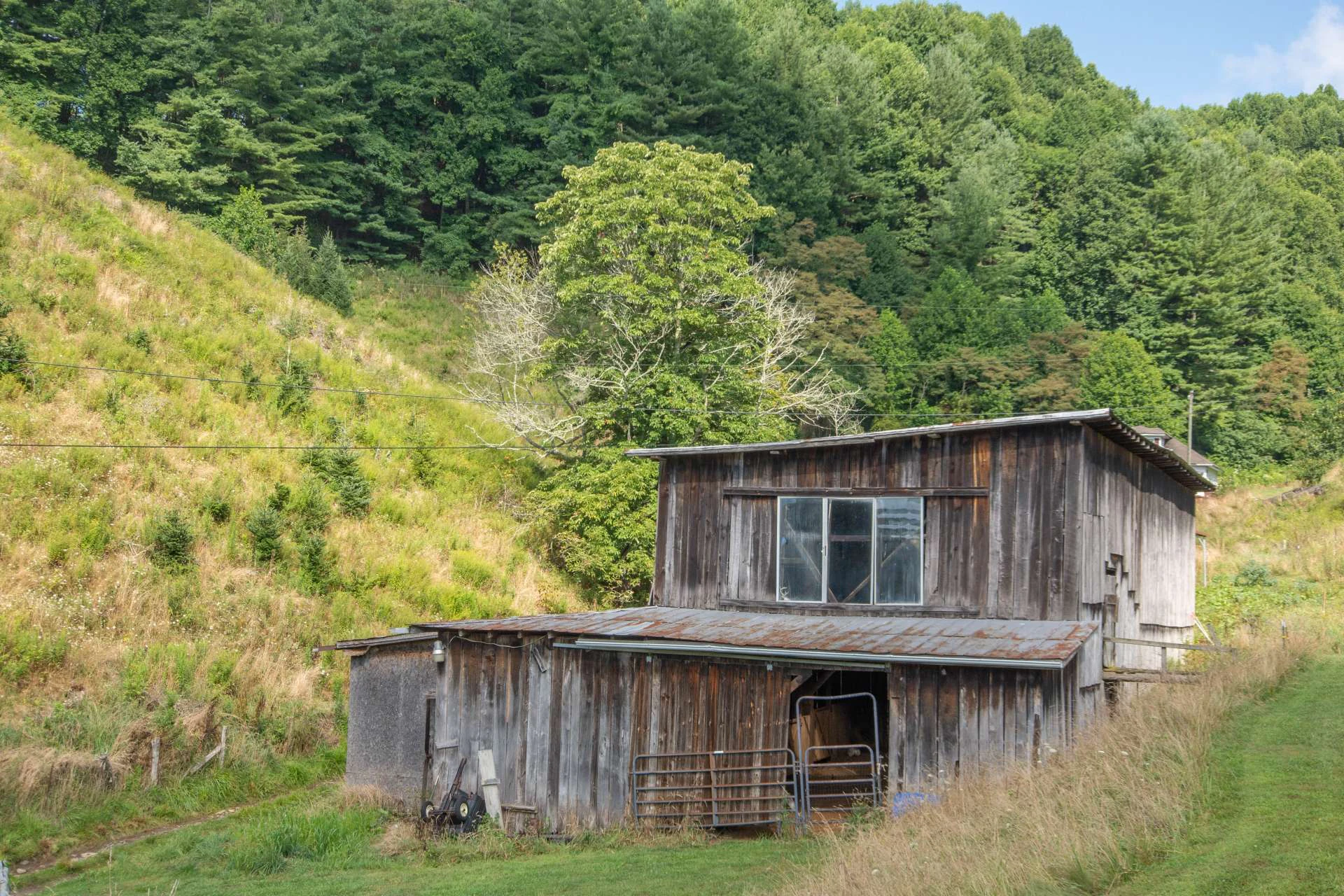Image number 5 for the current listing