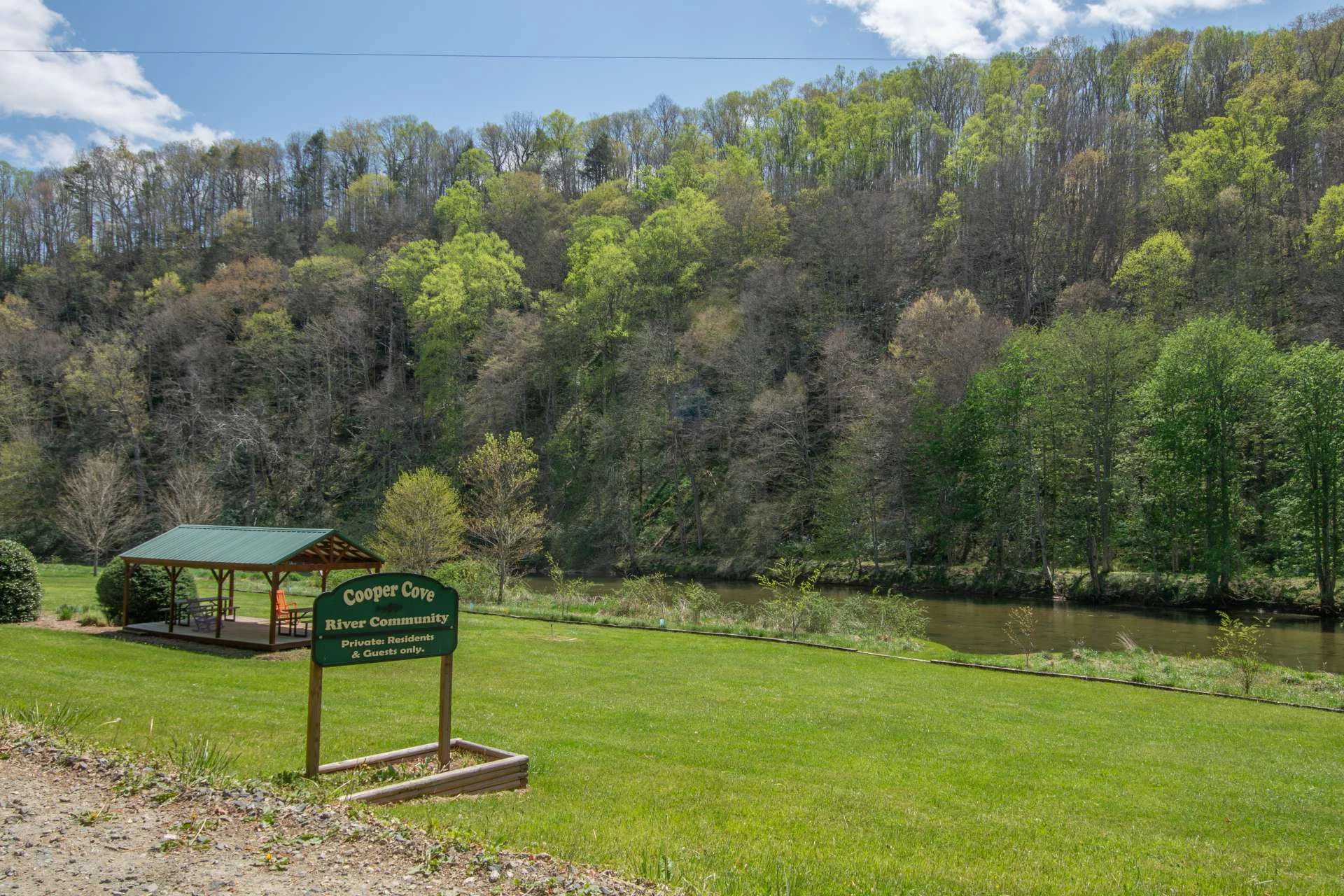 Image number 12 for the current listing