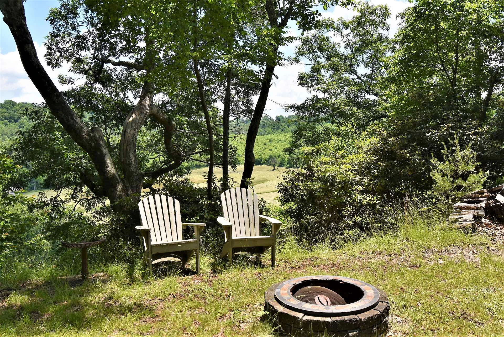 Image number 16 for the current listing
