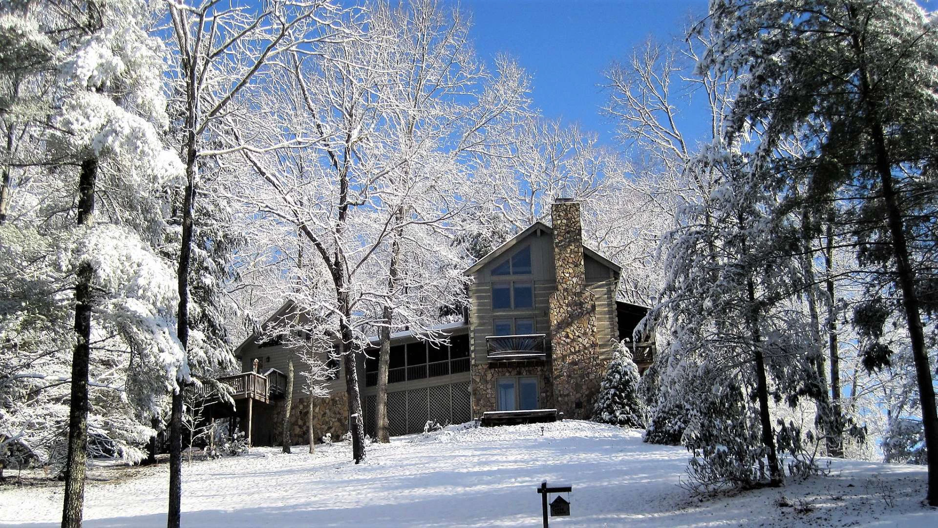 Image number 17 for the current listing