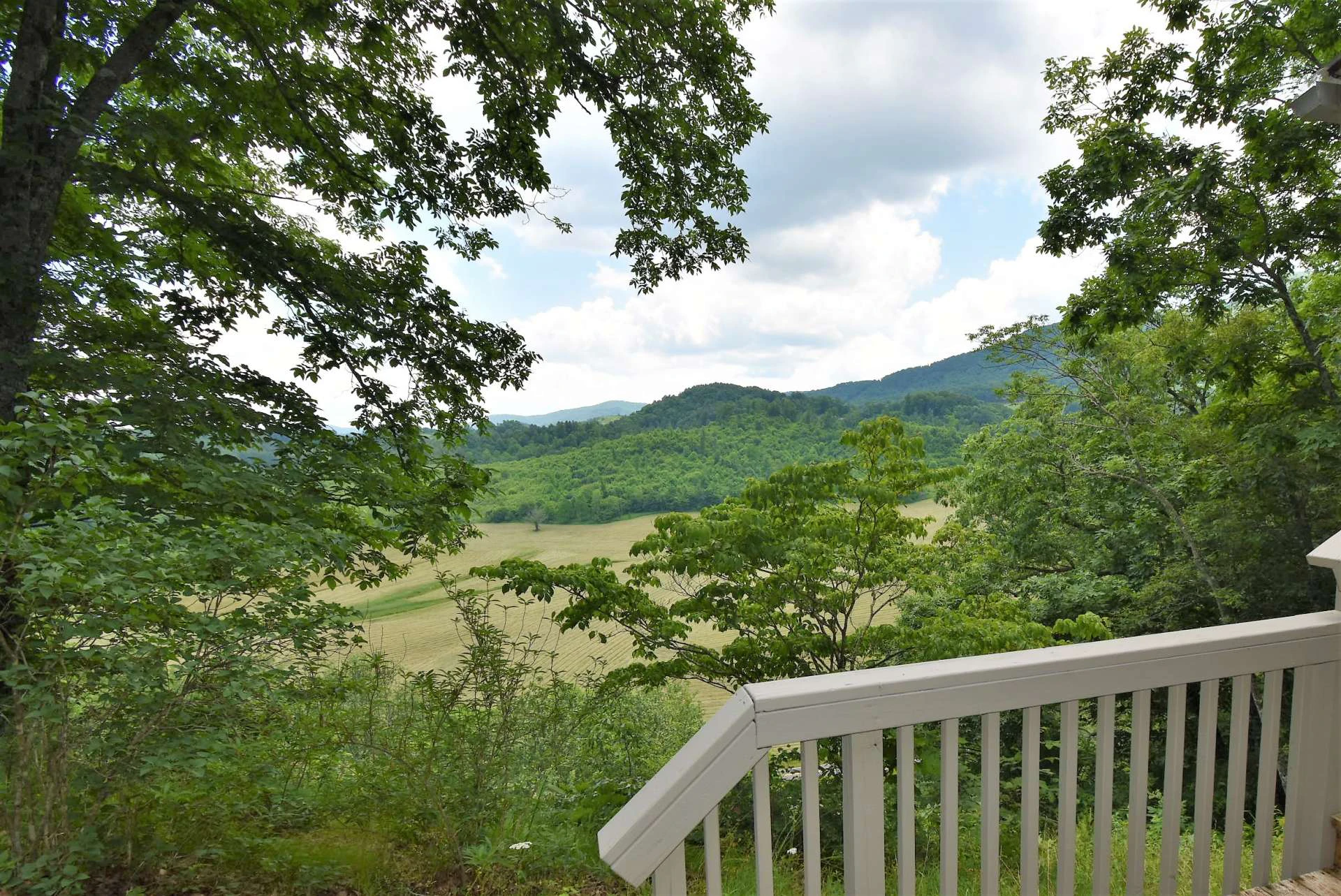 Image number 14 for the current listing