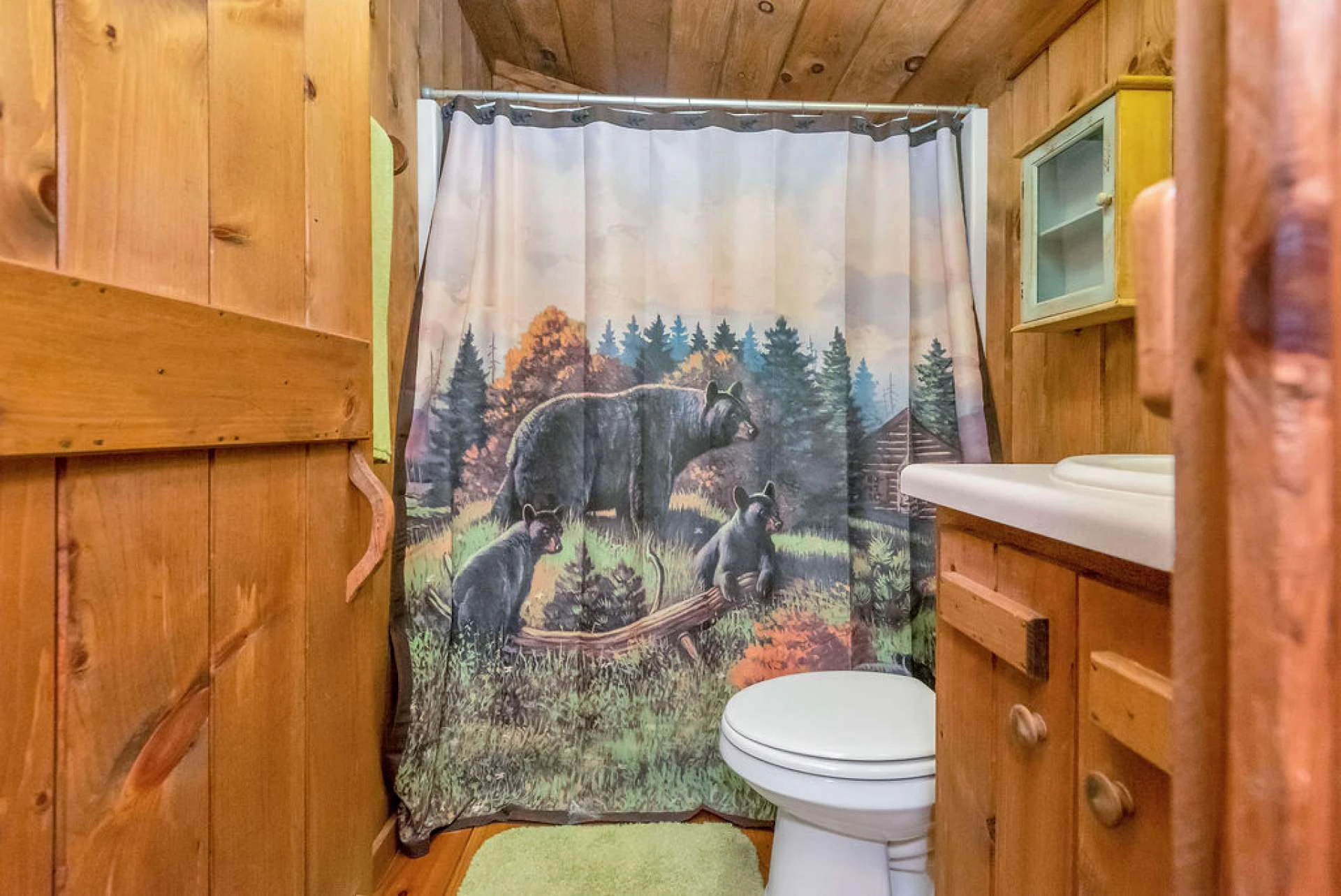 Image number 9 for the current listing