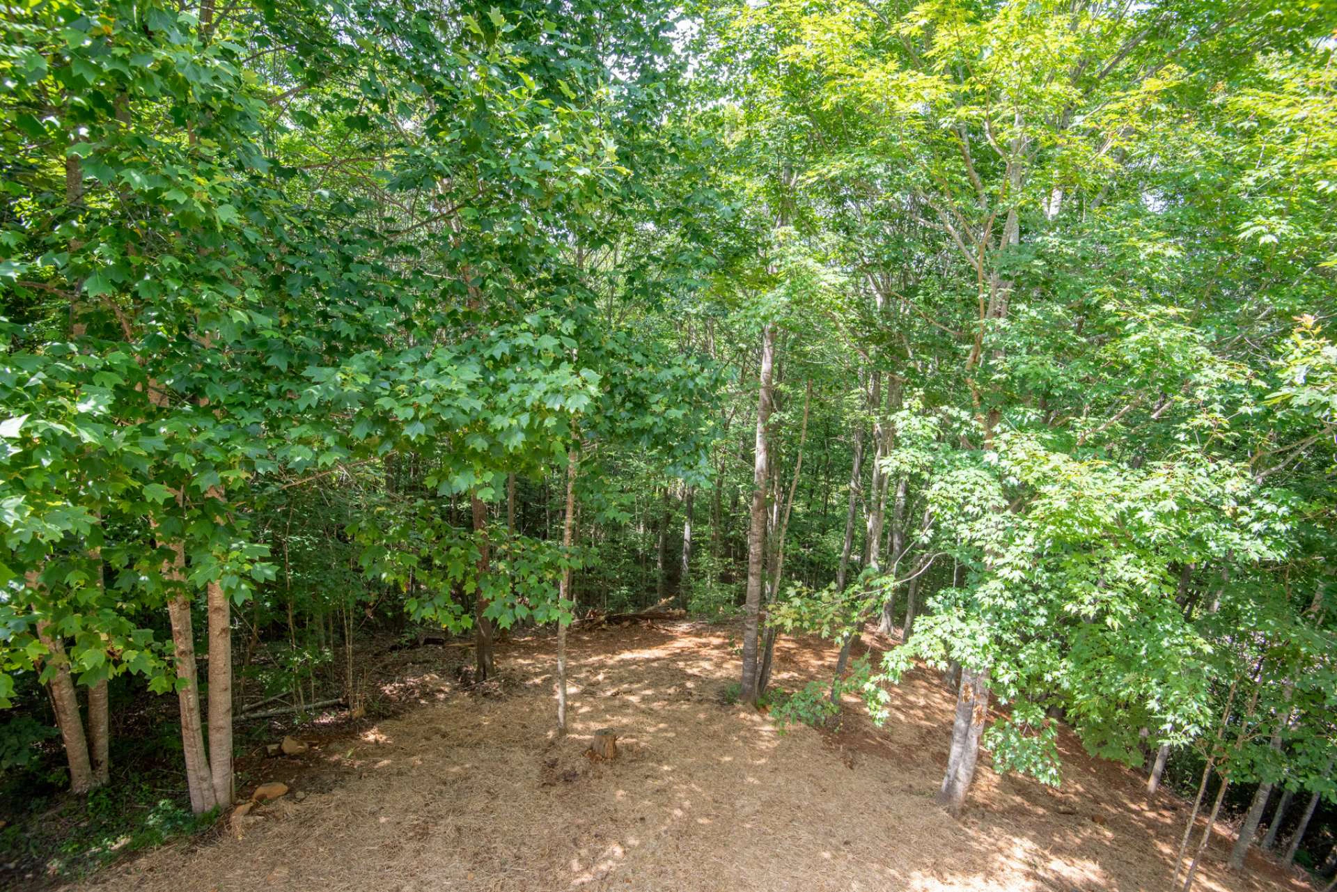 Image number 17 for the current listing
