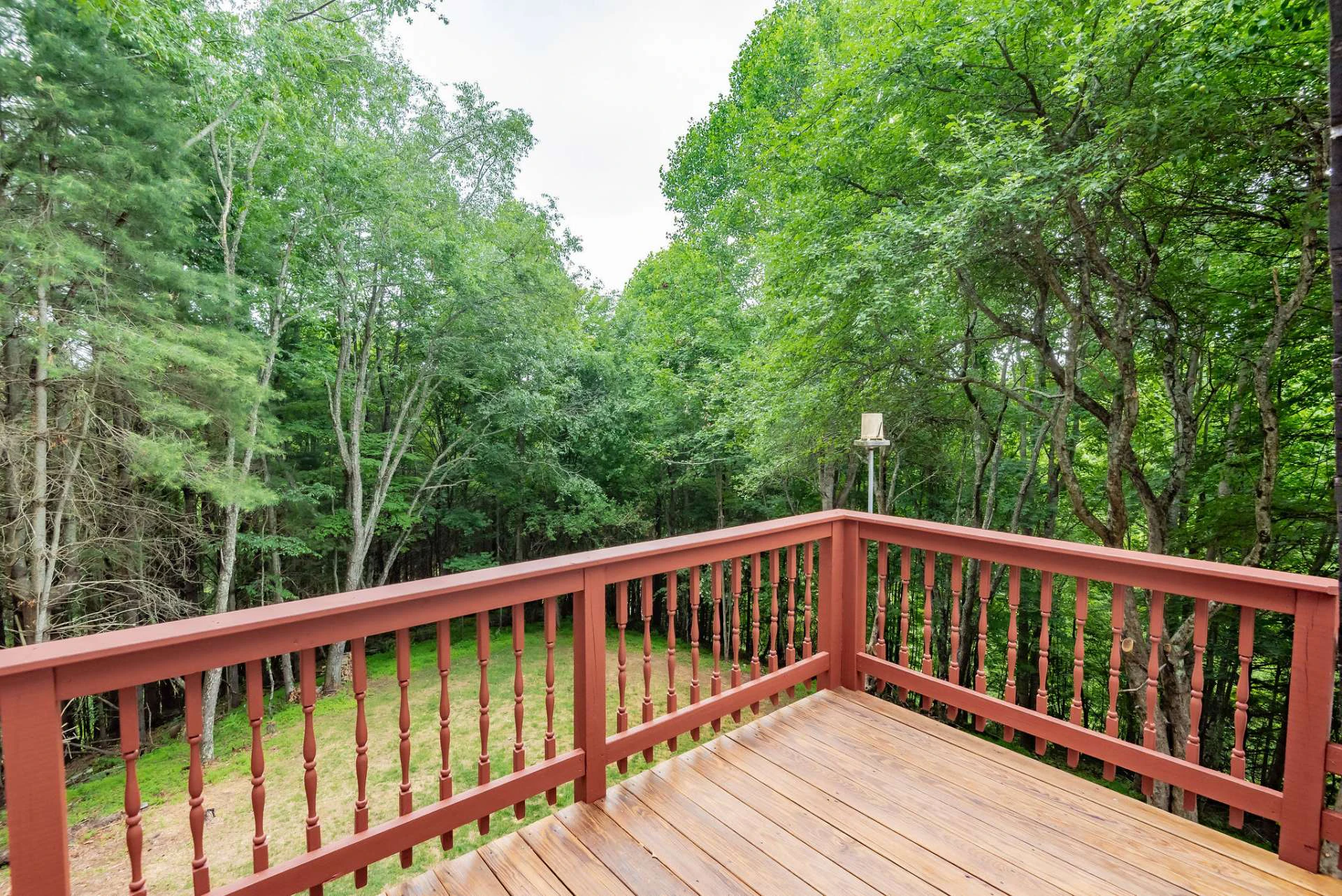 Image number 5 for the current listing