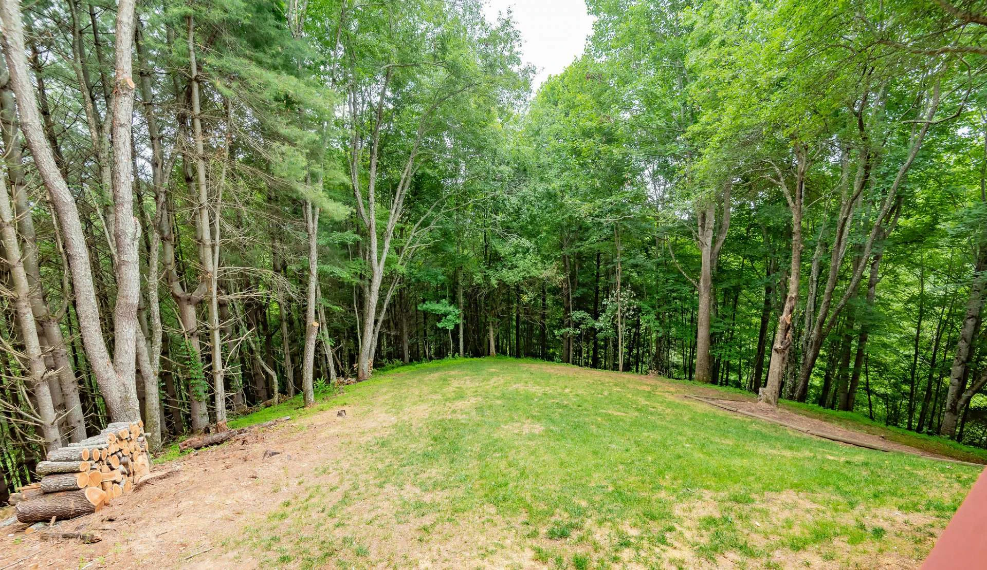 Image number 6 for the current listing