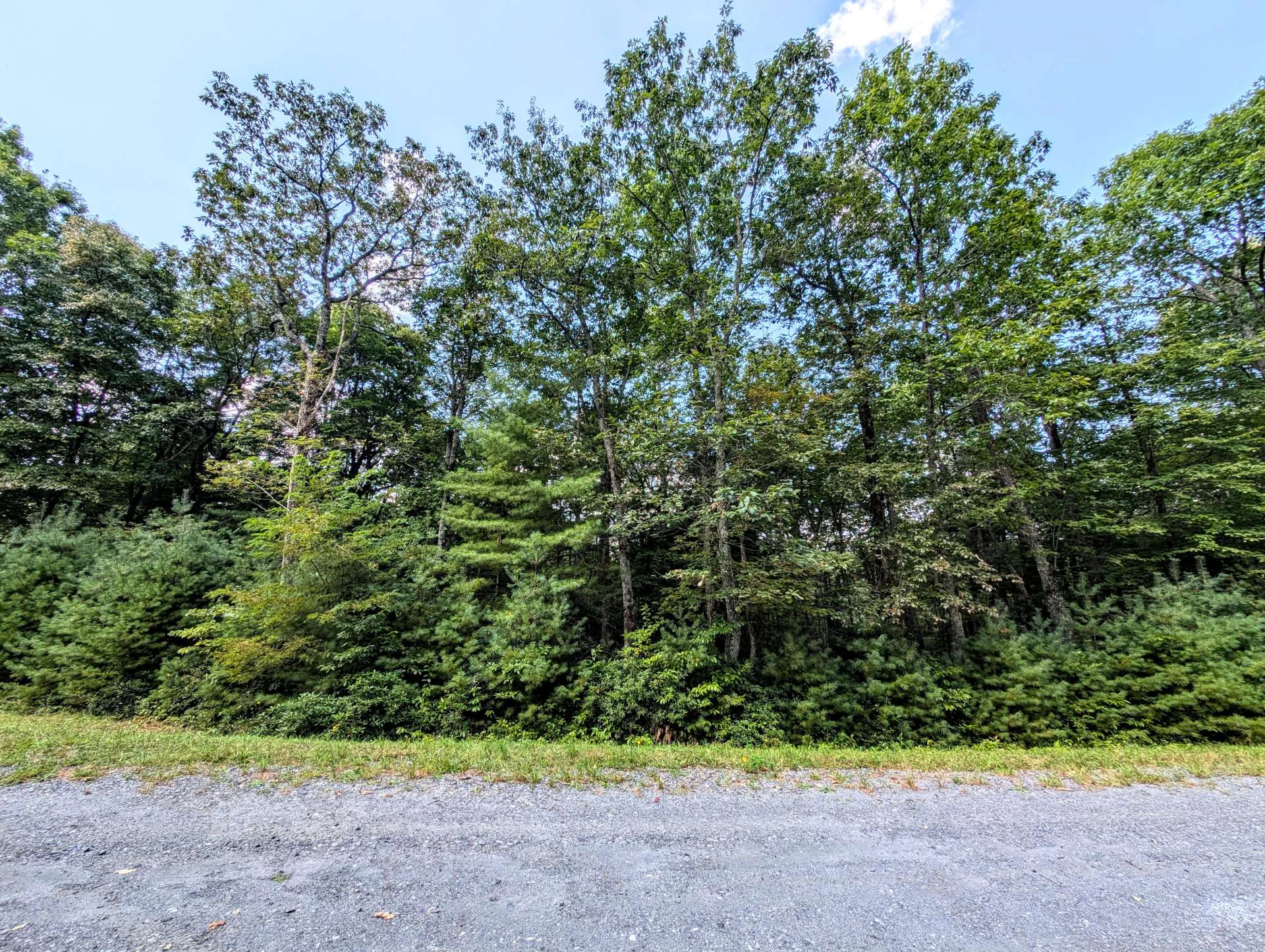Image number 11 for the current listing