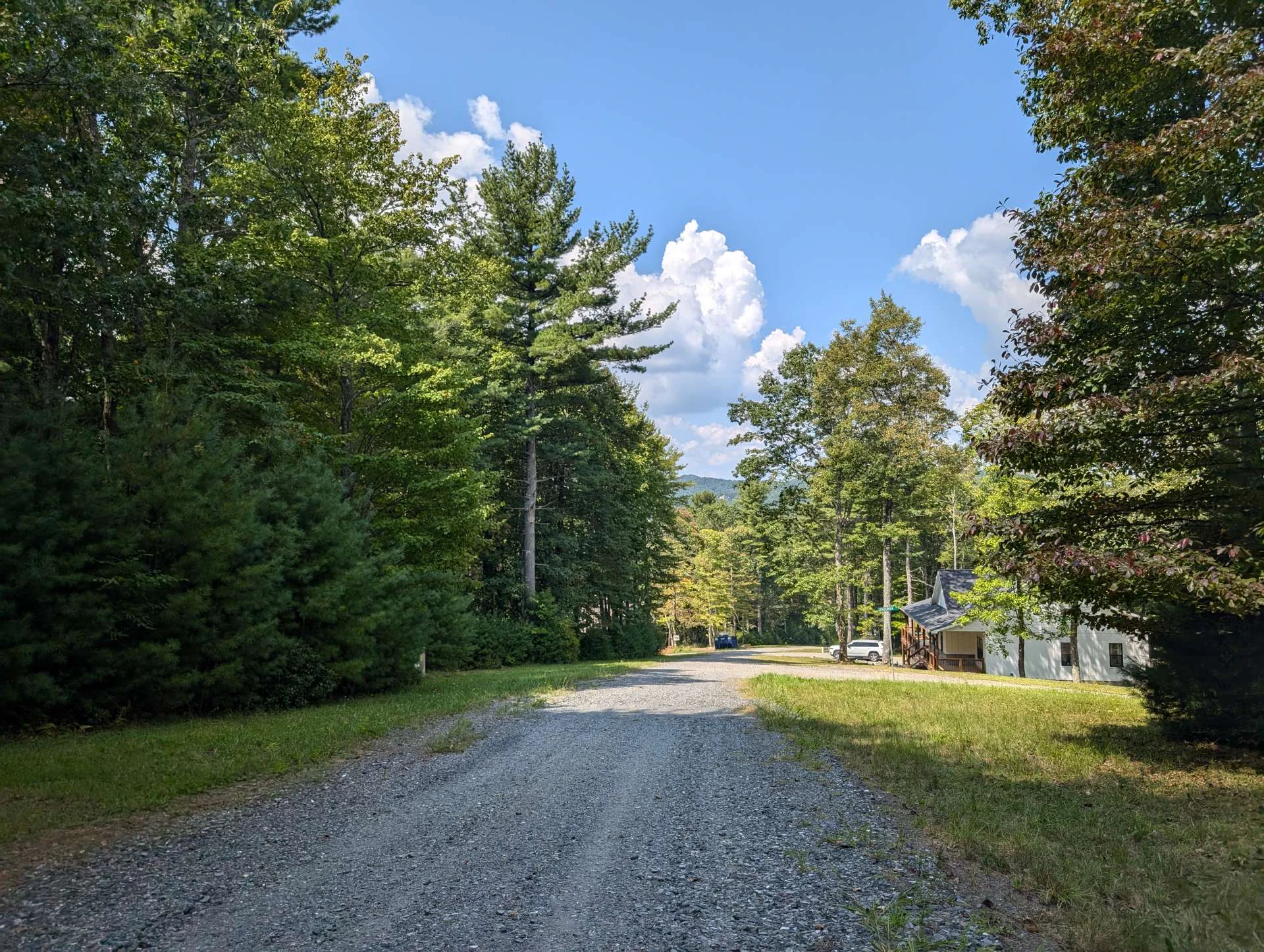 Image number 9 for the current listing