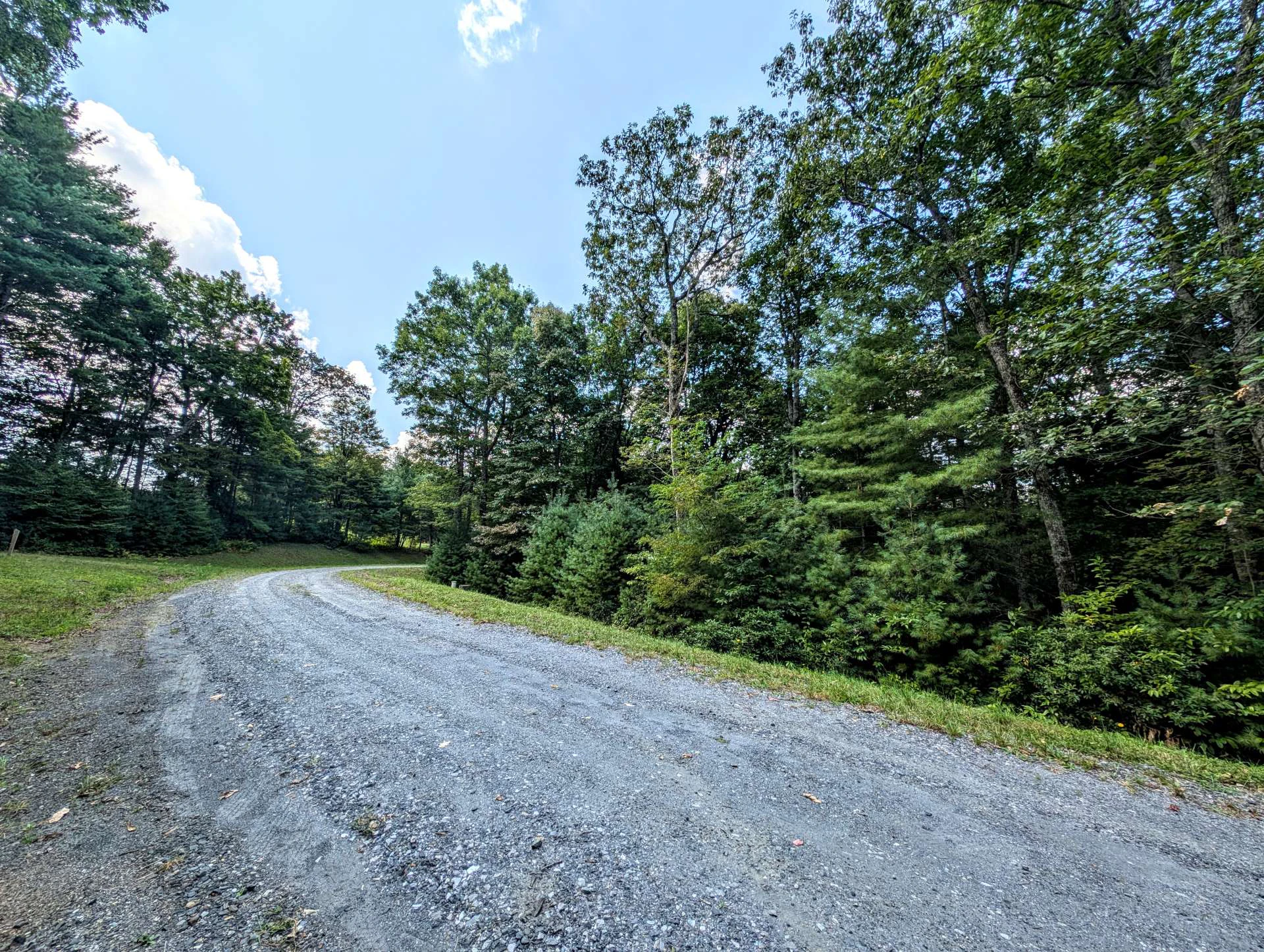Image number 10 for the current listing