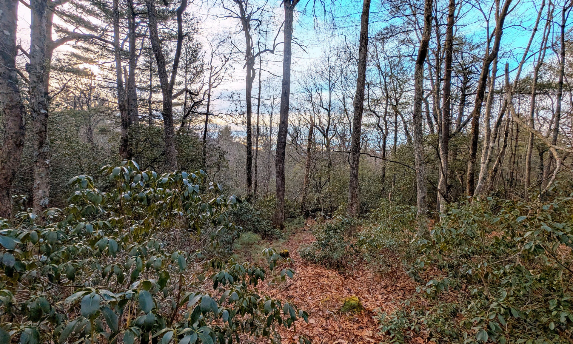 Image number 1 for the current listing
