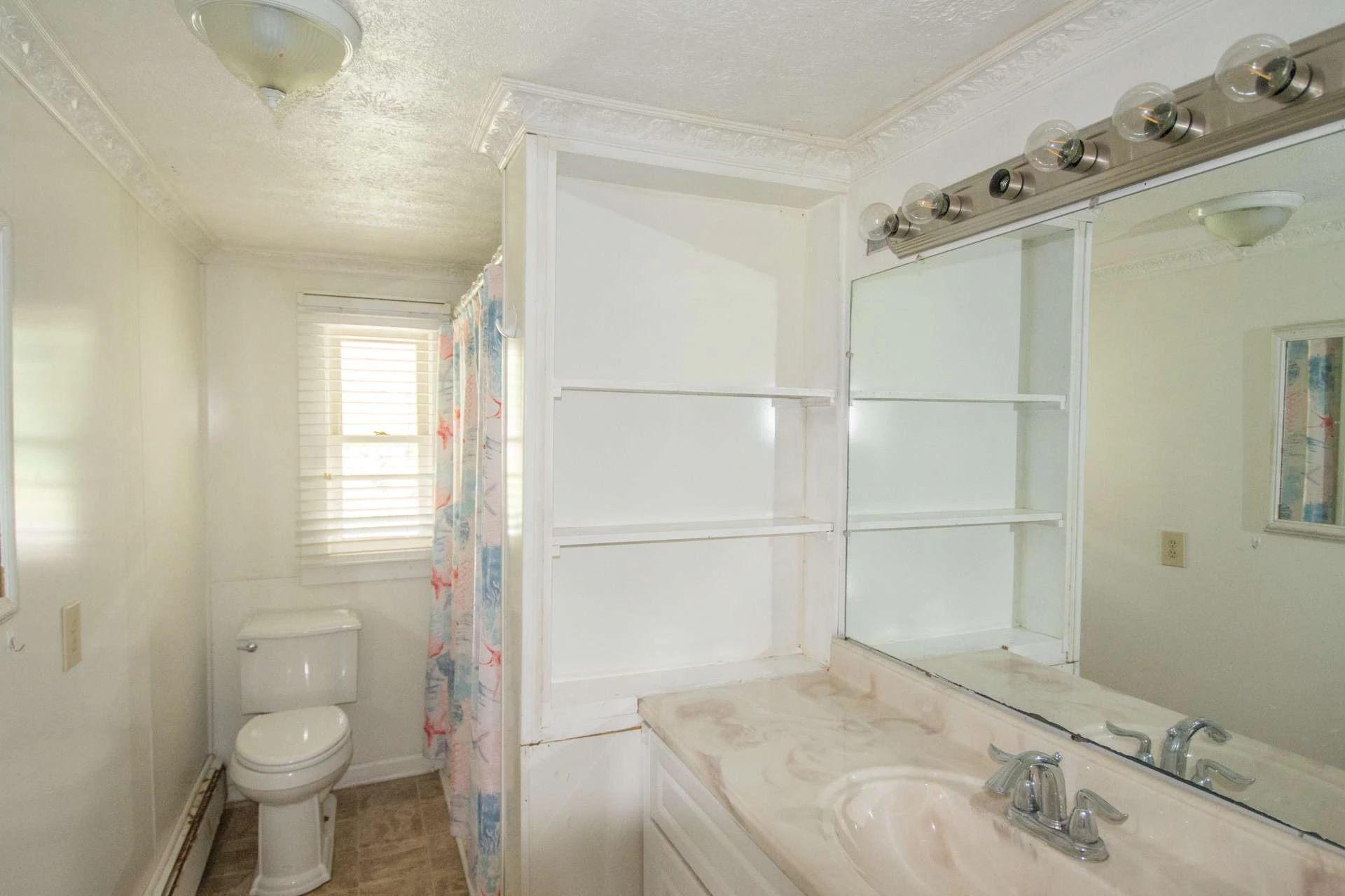 Image number 8 for the current listing