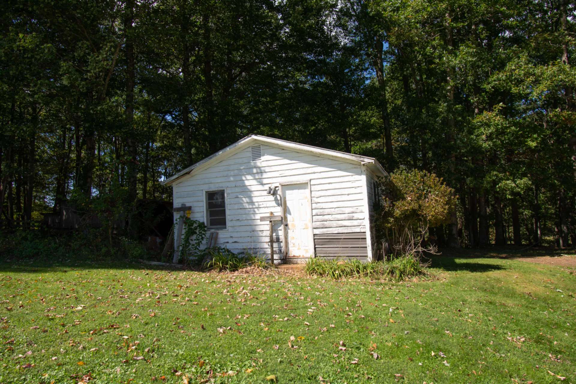 Image number 14 for the current listing